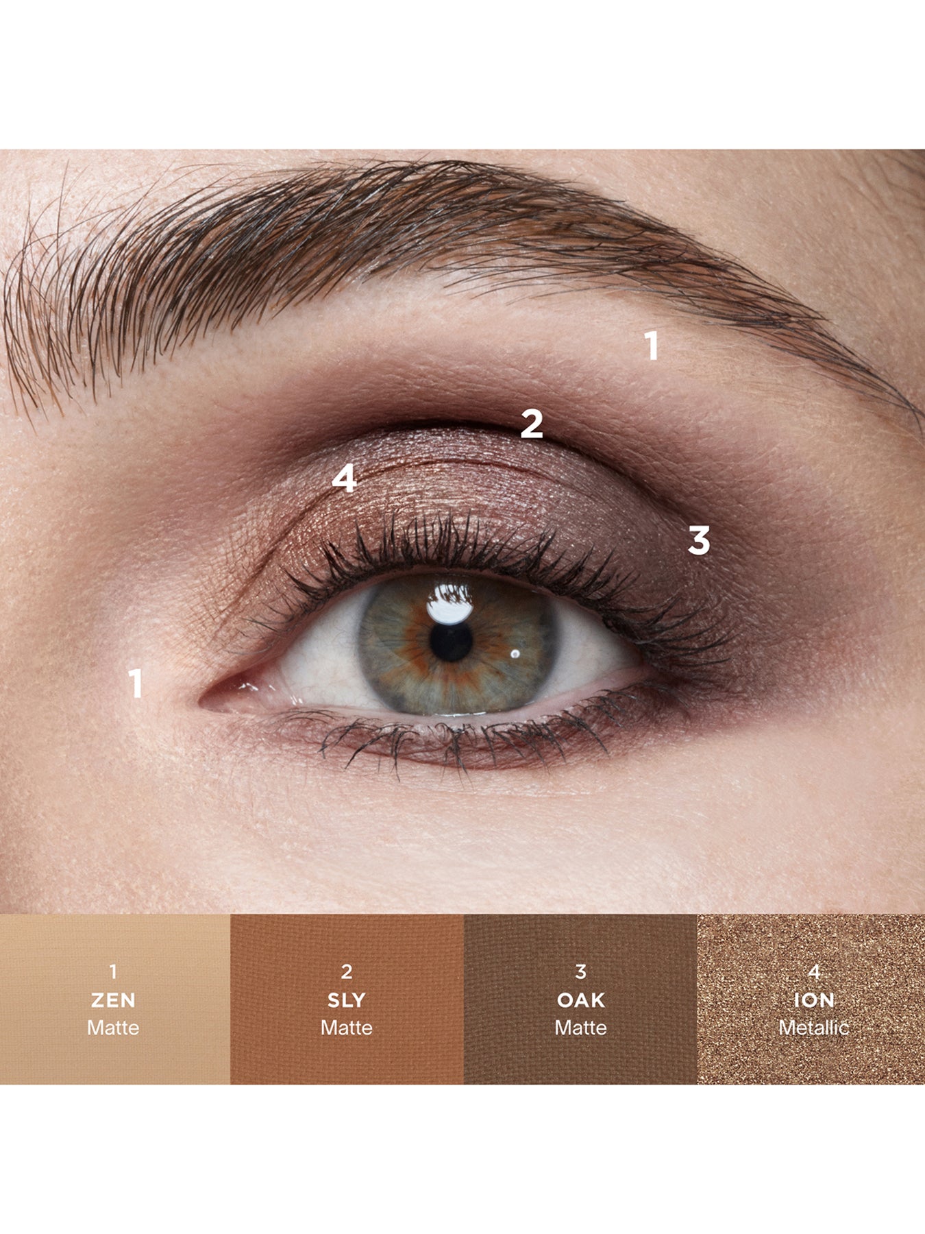 Curator Eyeshadow