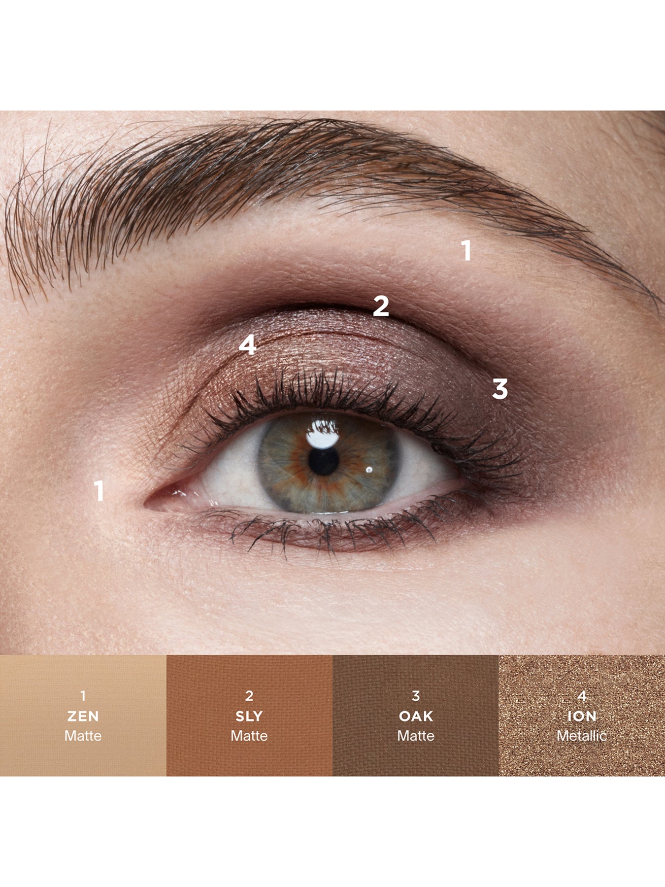Curator Eyeshadow