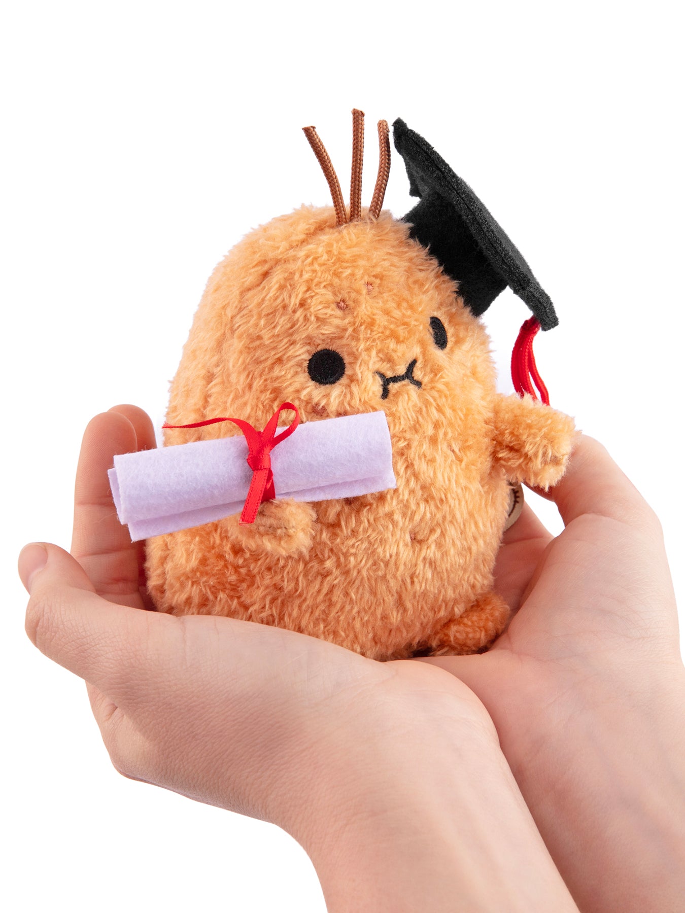 Ricespud Graduate Plush Toy