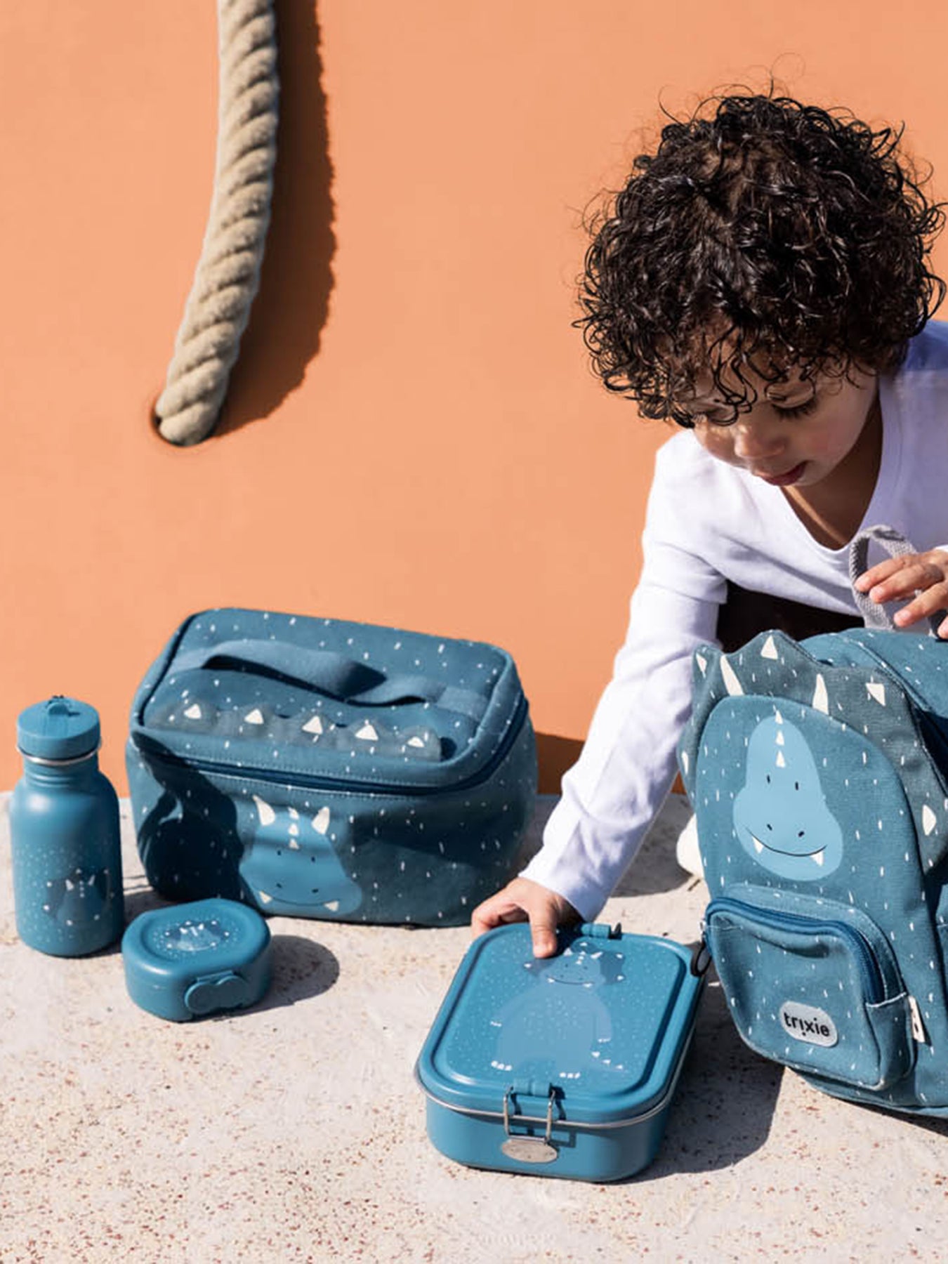 Bottle 350ml Triceratops