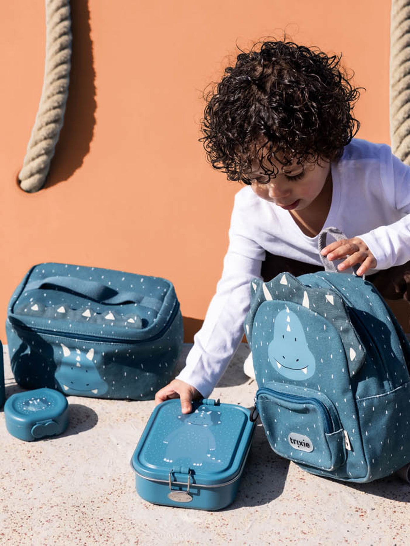 Snackbox with Clip 2 Pack Triceratops