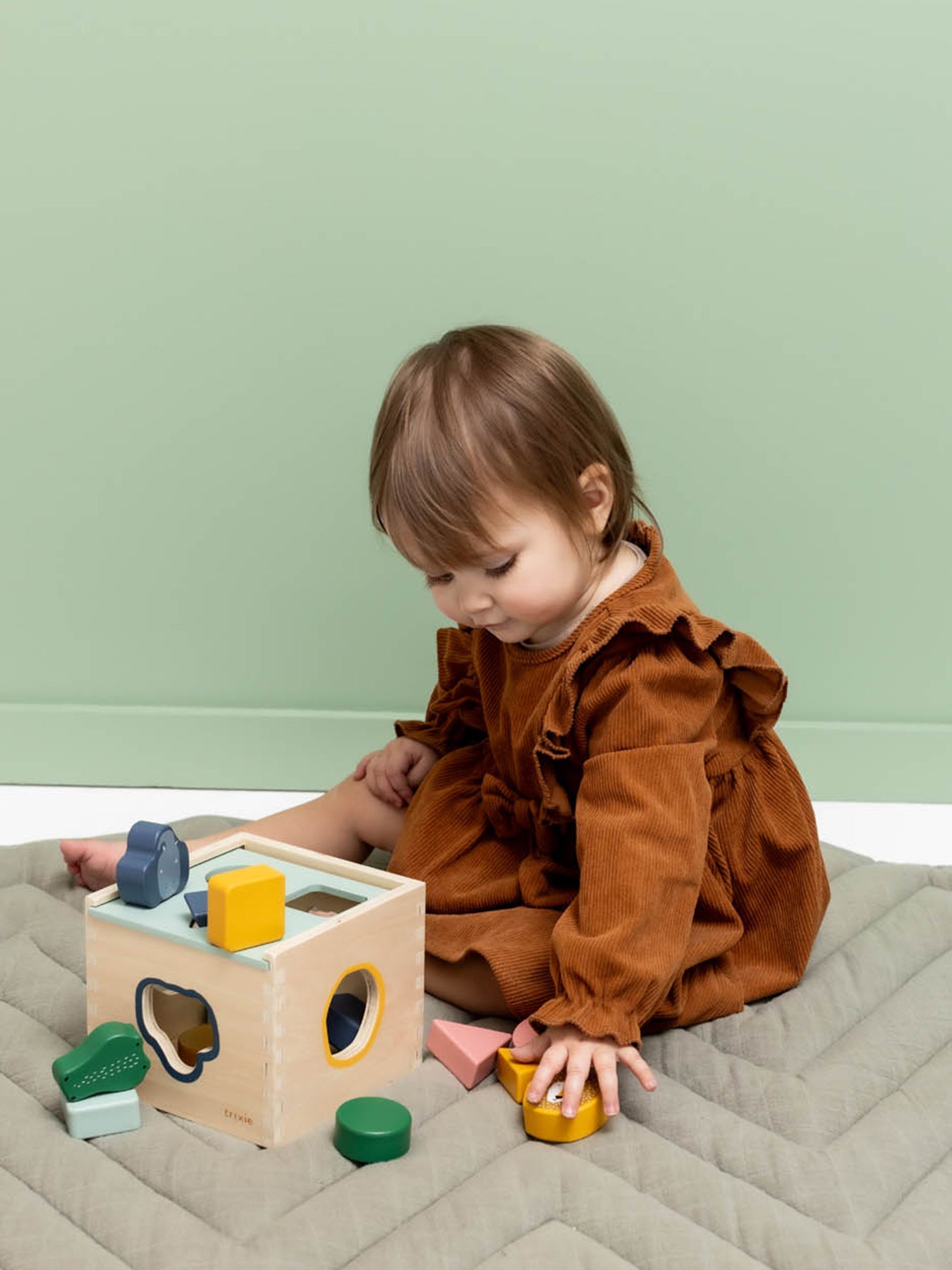 Wooden Shape Sorter Toy