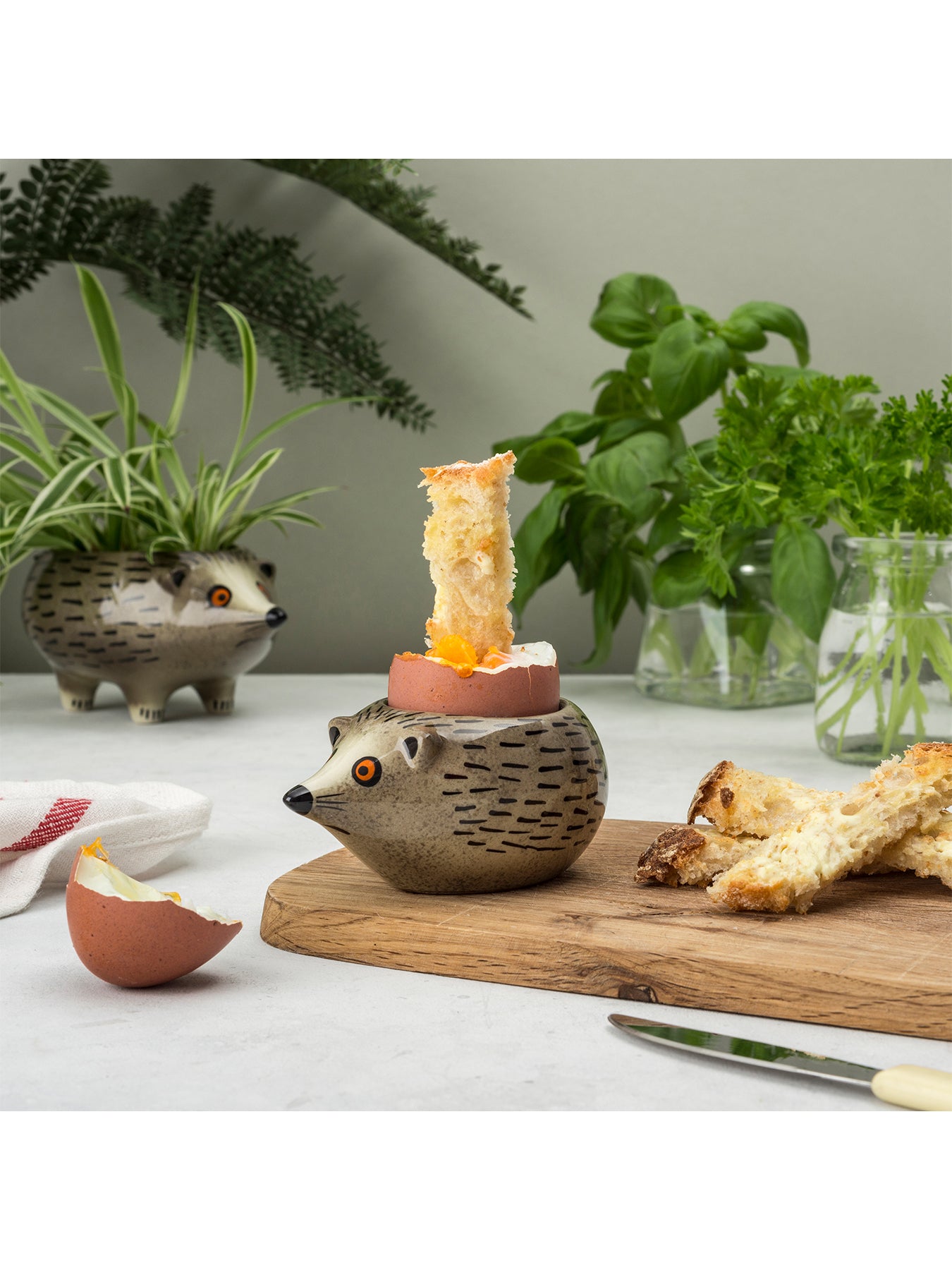 Hedgehog Egg Cup Grey