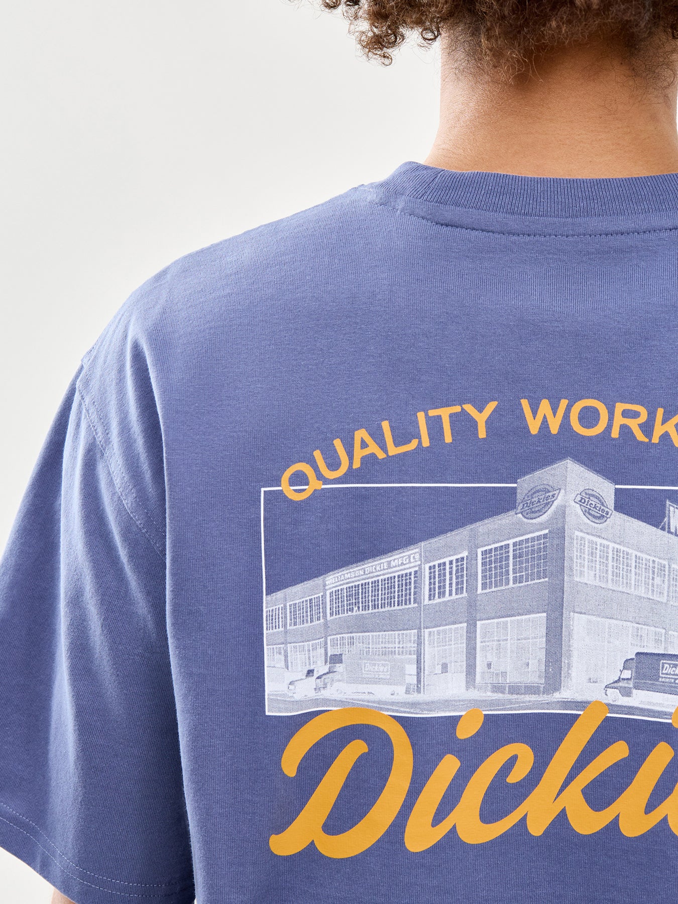 Dickies Wellsville Short Sleeve T-Shirt in Blue