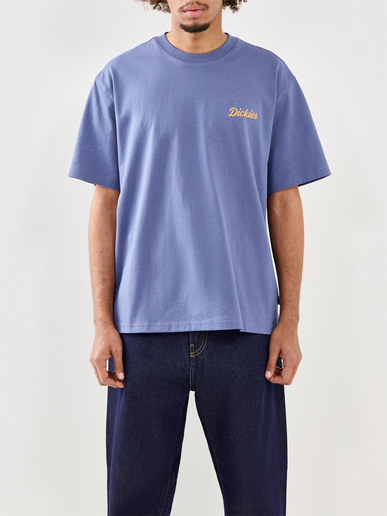 Dickies Wellsville Short Sleeve T-Shirt in Blue