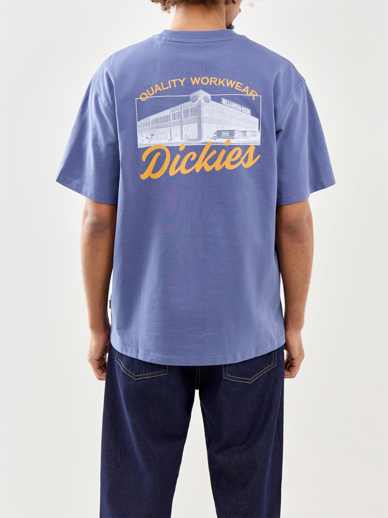 Dickies Wellsville Short Sleeve T-Shirt in Blue
