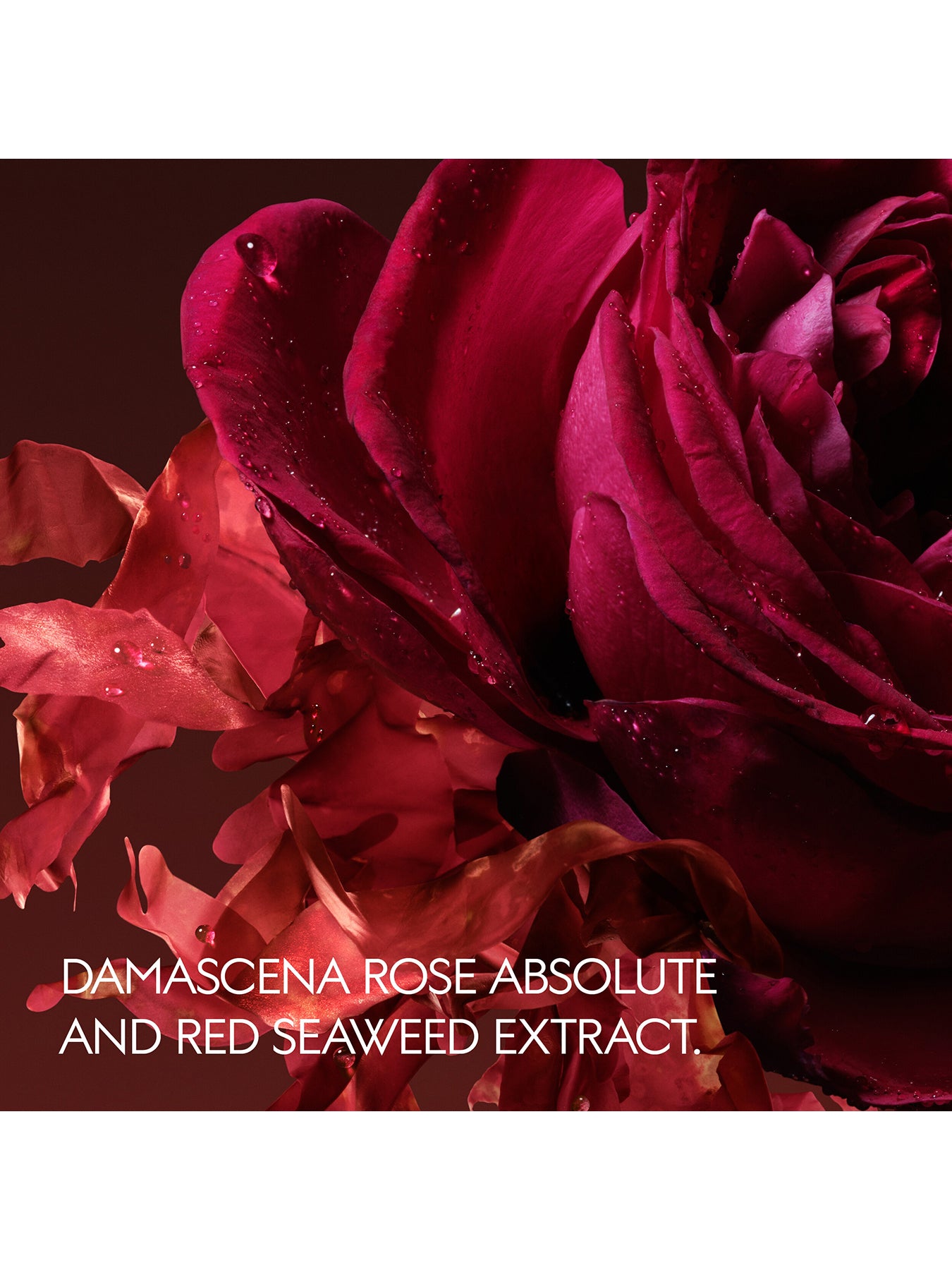 Gucci The Alchemist's Garden Rosa Incandescente Eau de Parfum Unisex 50ml