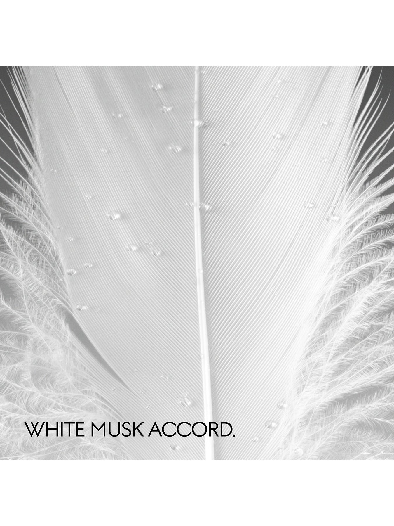 Gucci The Alchemist's Garden Muschio Di Luce Eau de Parfum Unisex 50ml