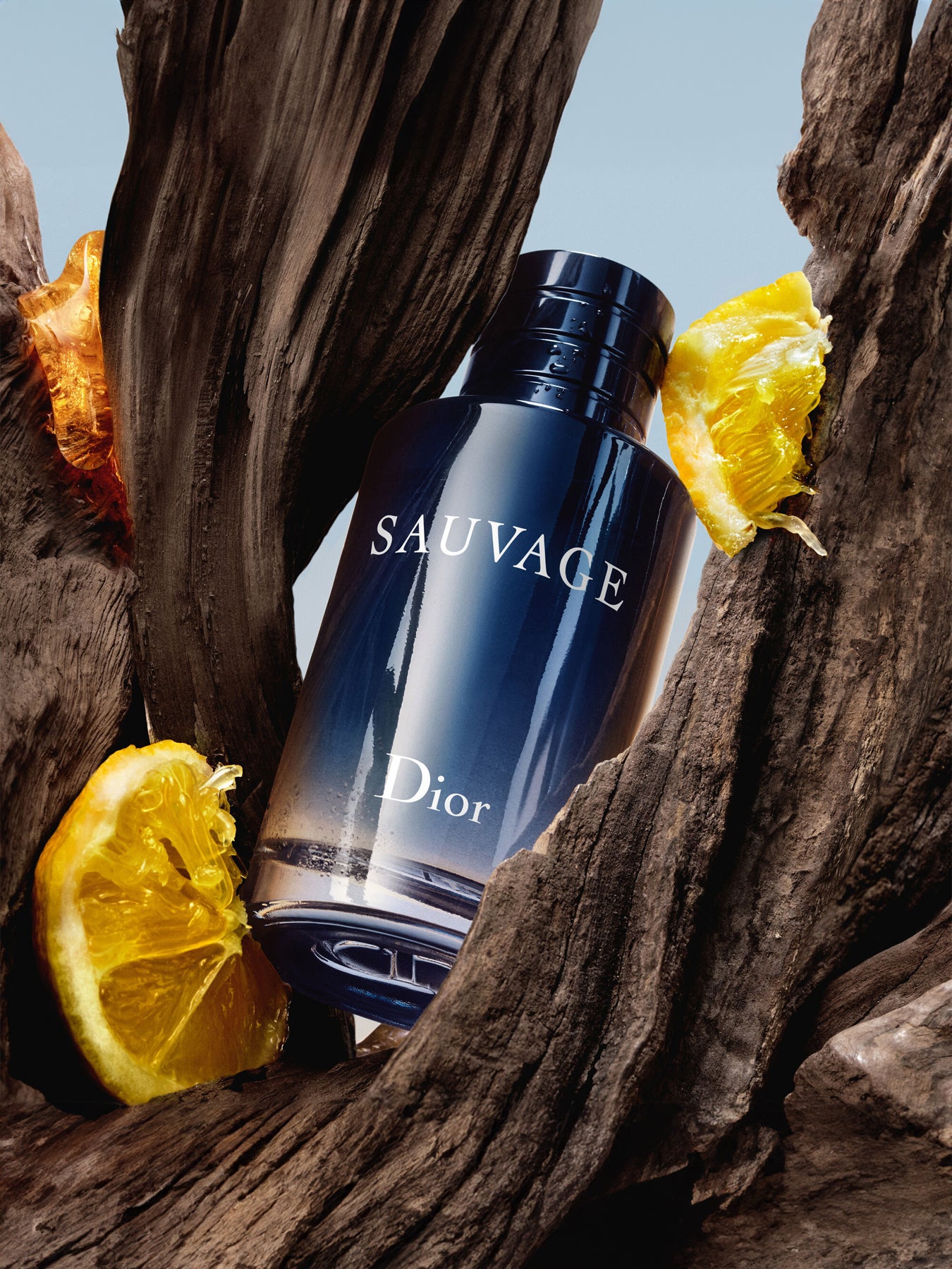 Sauvage Spray for the Wild Eau de Toilette 30ml Limited Edition