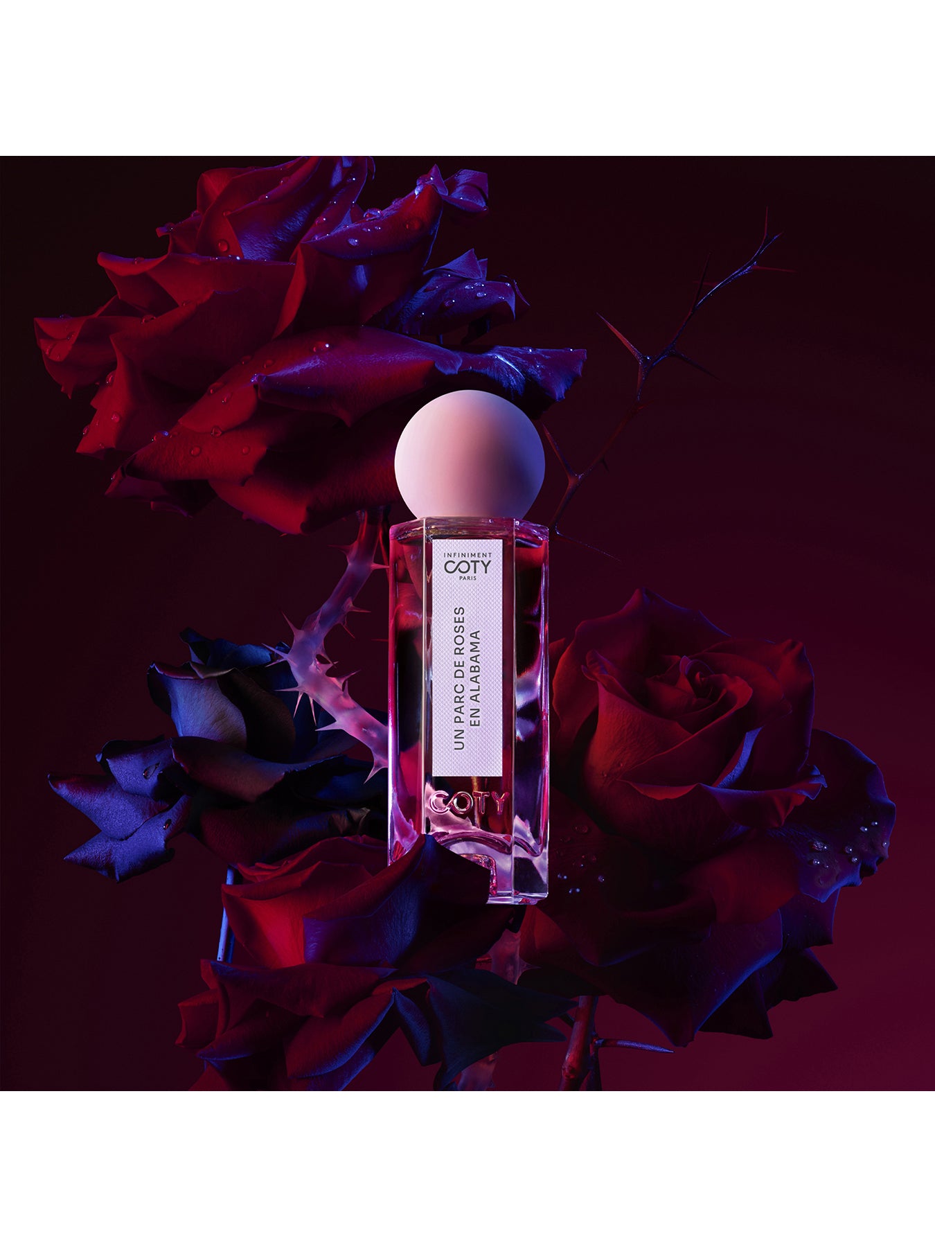 Un Parc De Roses En Alabama Parfum 75ml