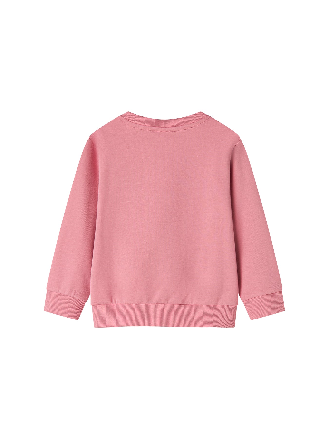 Long Sleeve Regular Fit Top Wild Rose