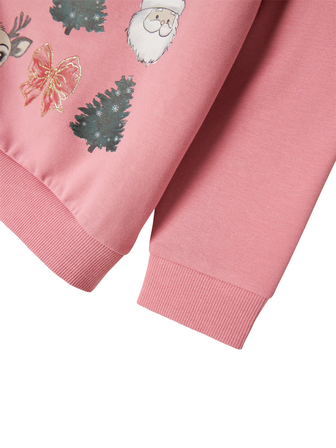 Long Sleeve Regular Fit Top Wild Rose