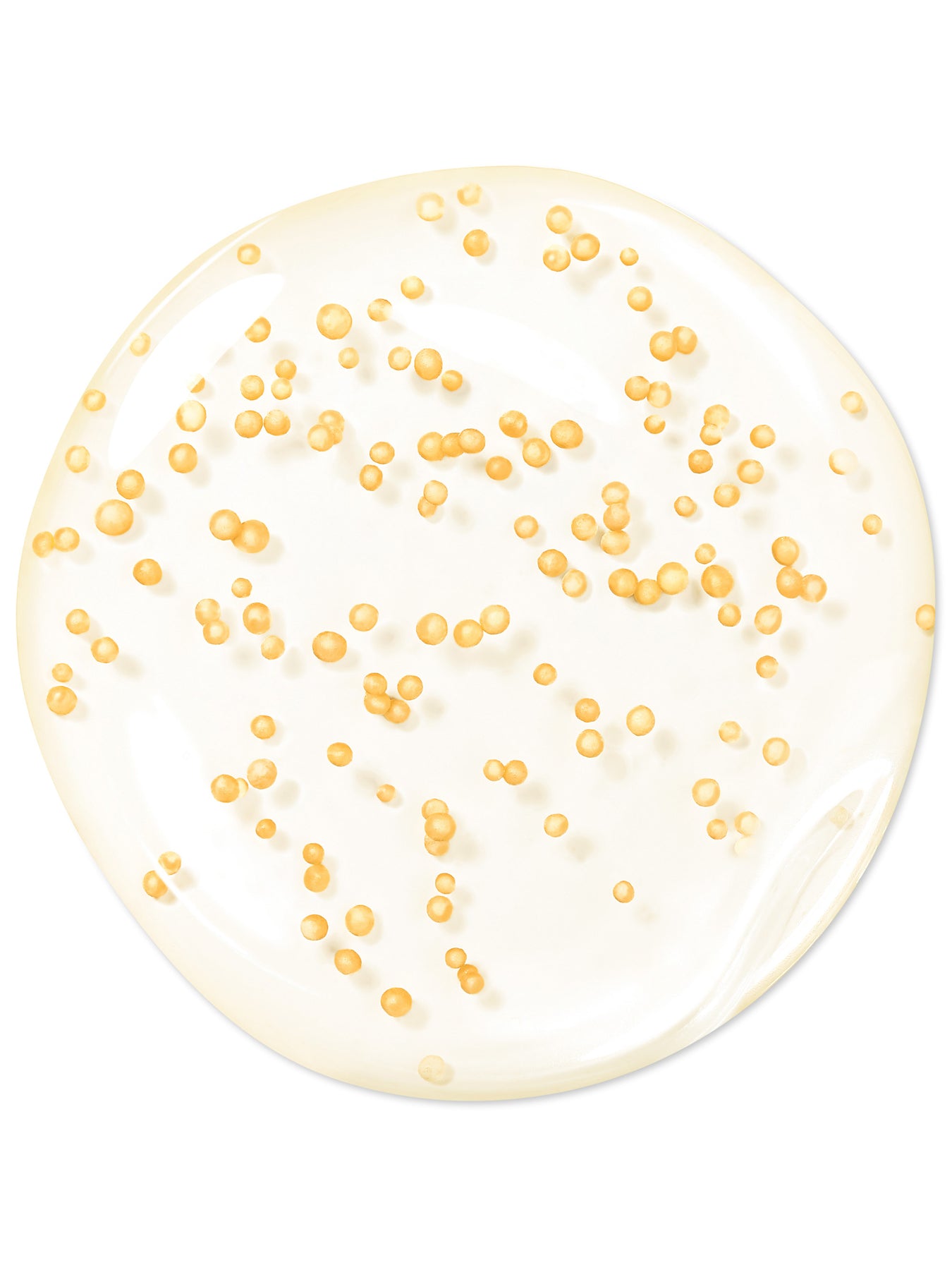 Abeille Royale Youth Watery Oil Serum 75ml