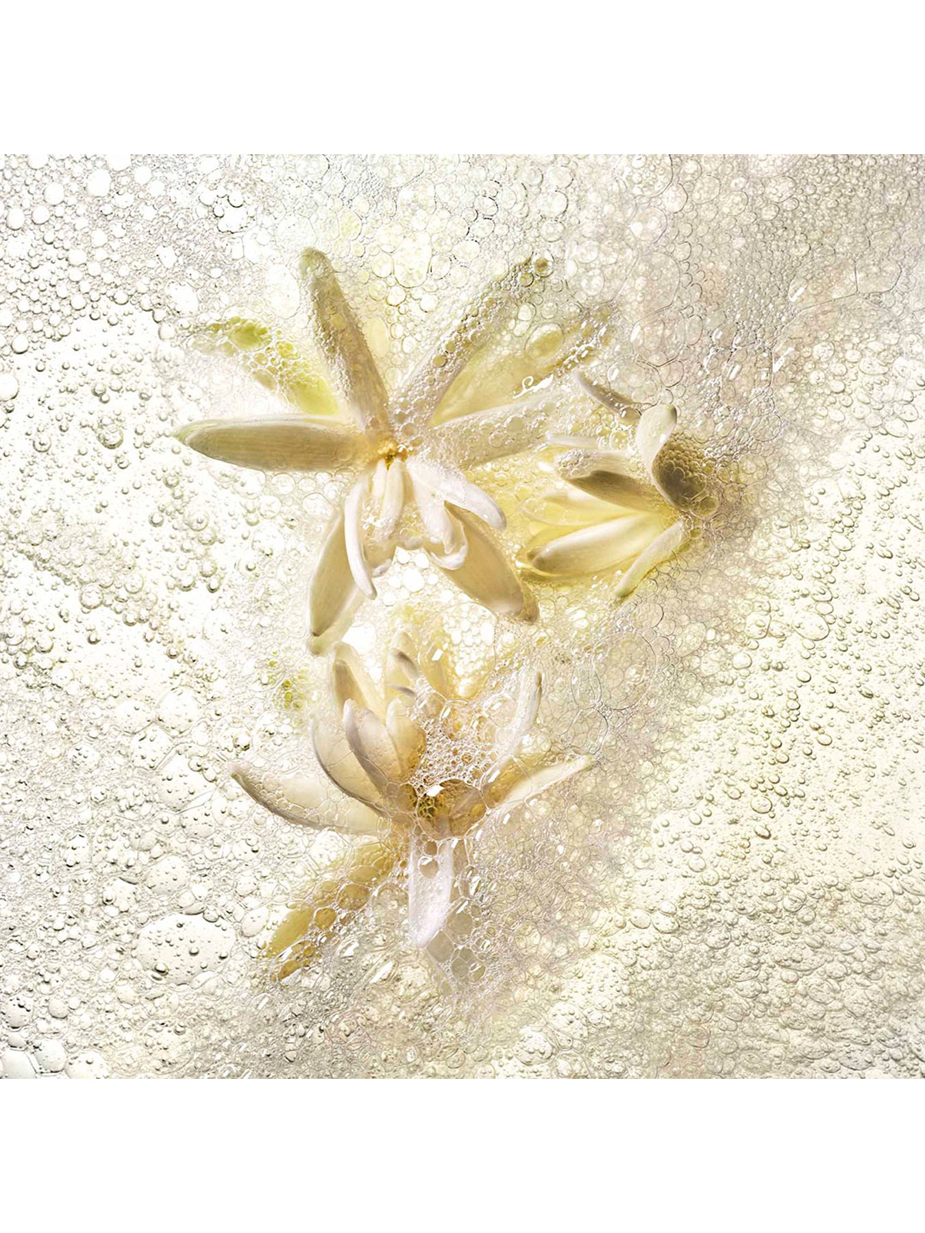 Good Girl Gone Bad Hand & Body Wash 250ml