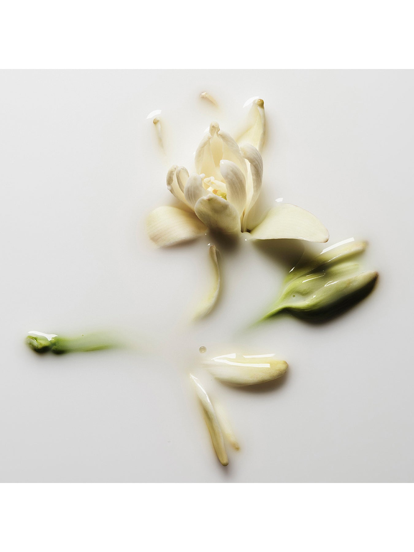 Good Girl Gone Bad Body Lotion 250ml