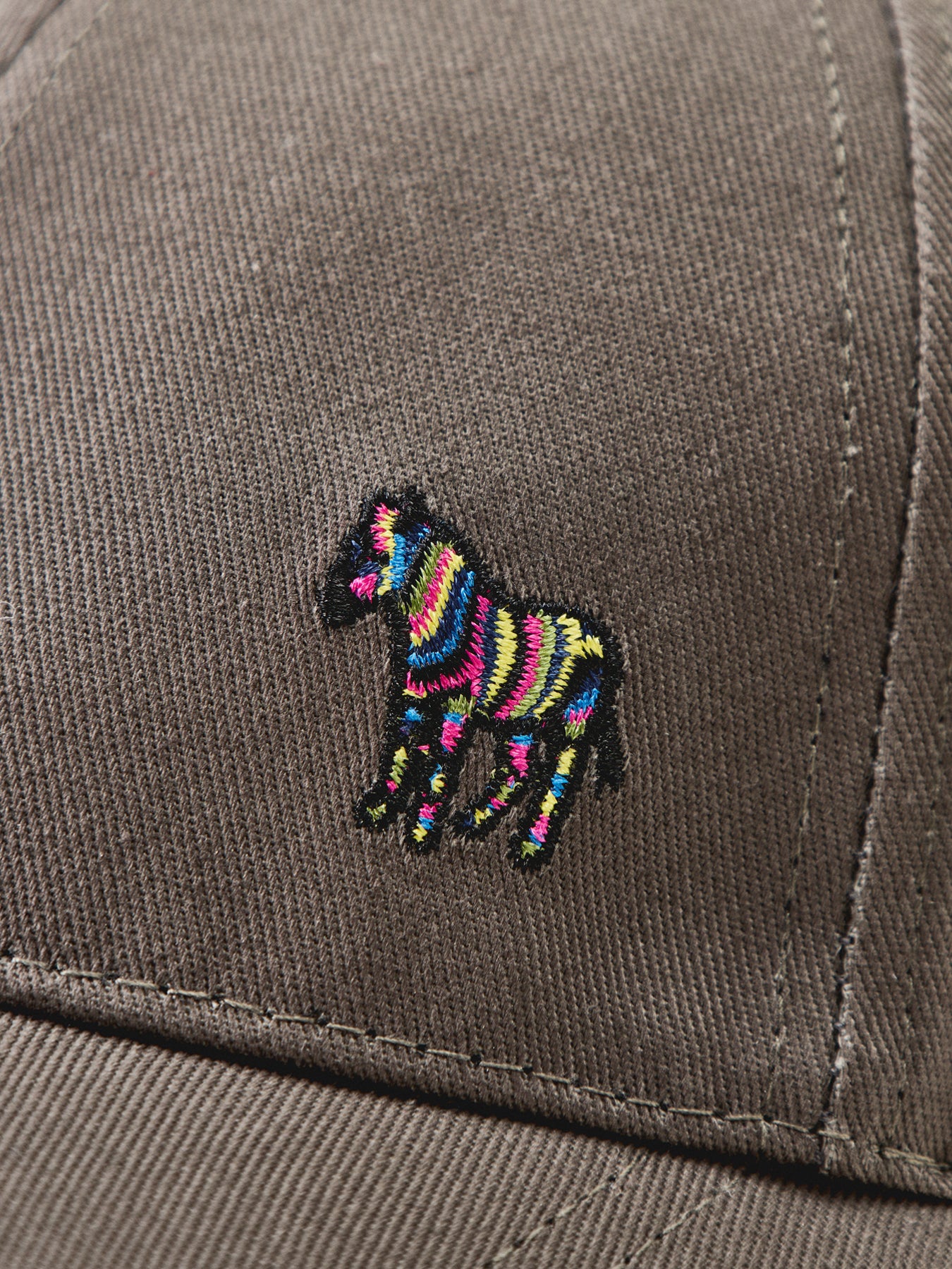 Seasonal Zebra Cap