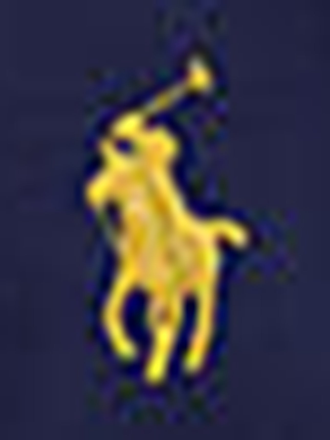 Kids’ Woven Pants Navy
