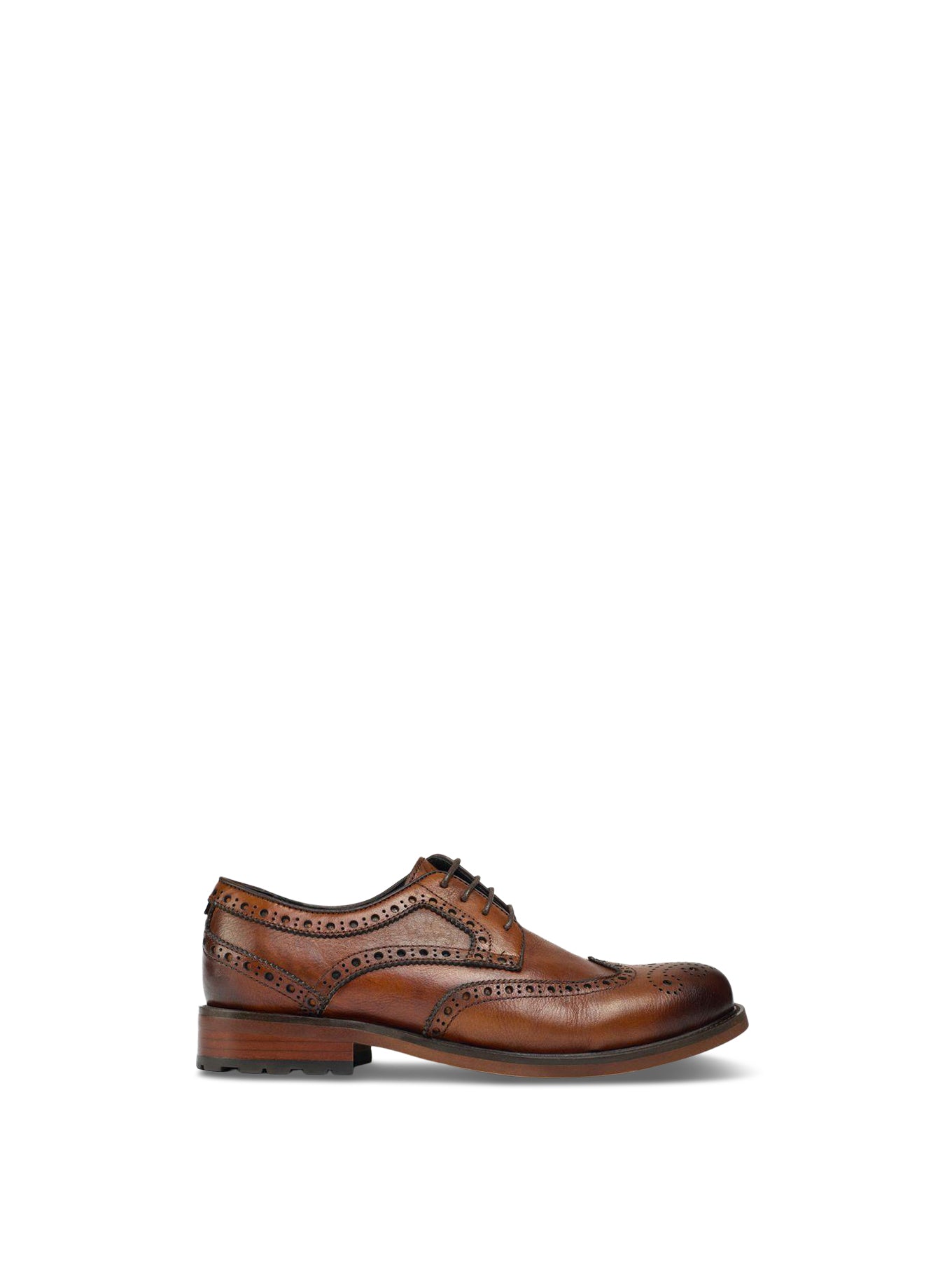 Caliper Brogue Shoes Tan