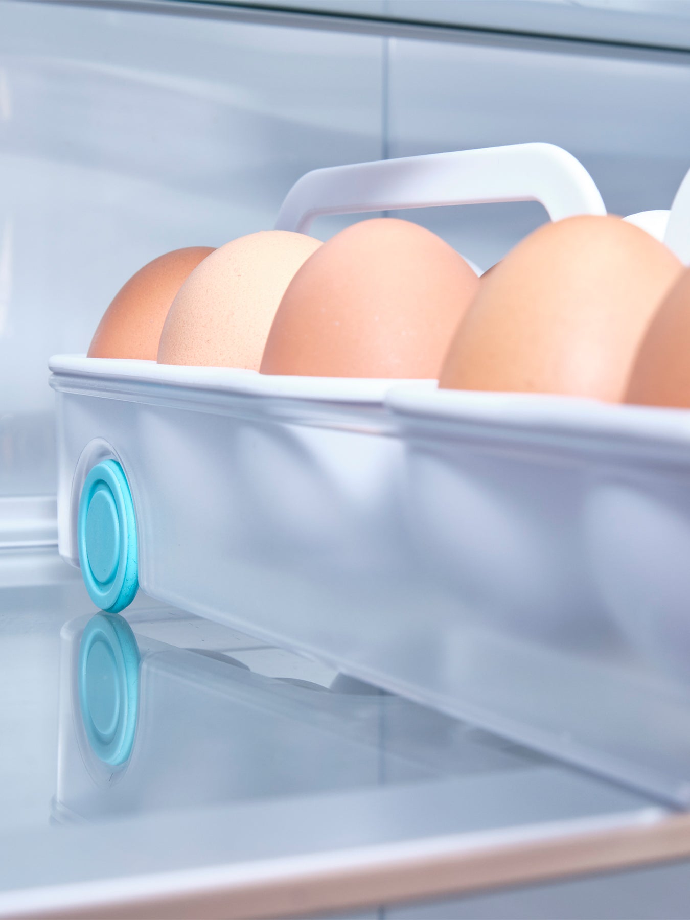 FridgeStore Egg Storage Caddy