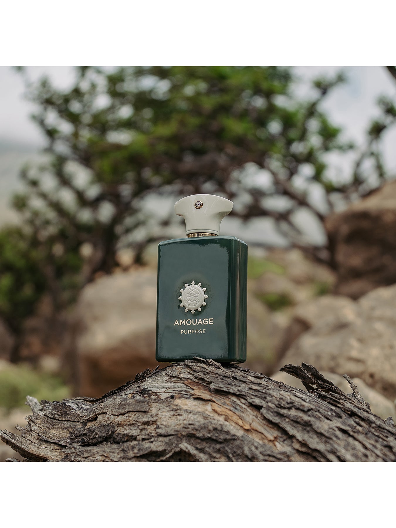 Purpose Eau de Parfum 100ml Gift Set