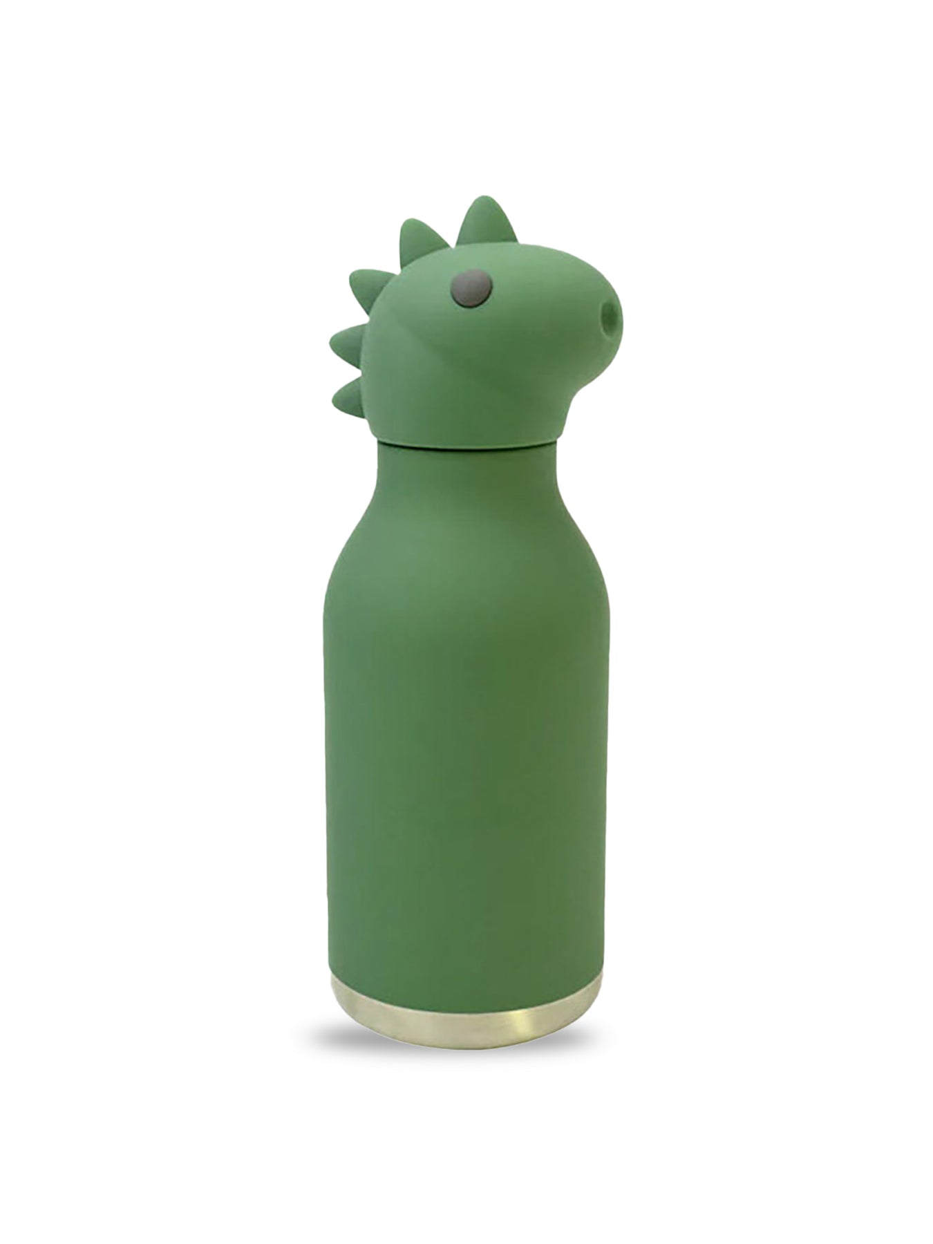 Dinosaur Insulated Bottle Green