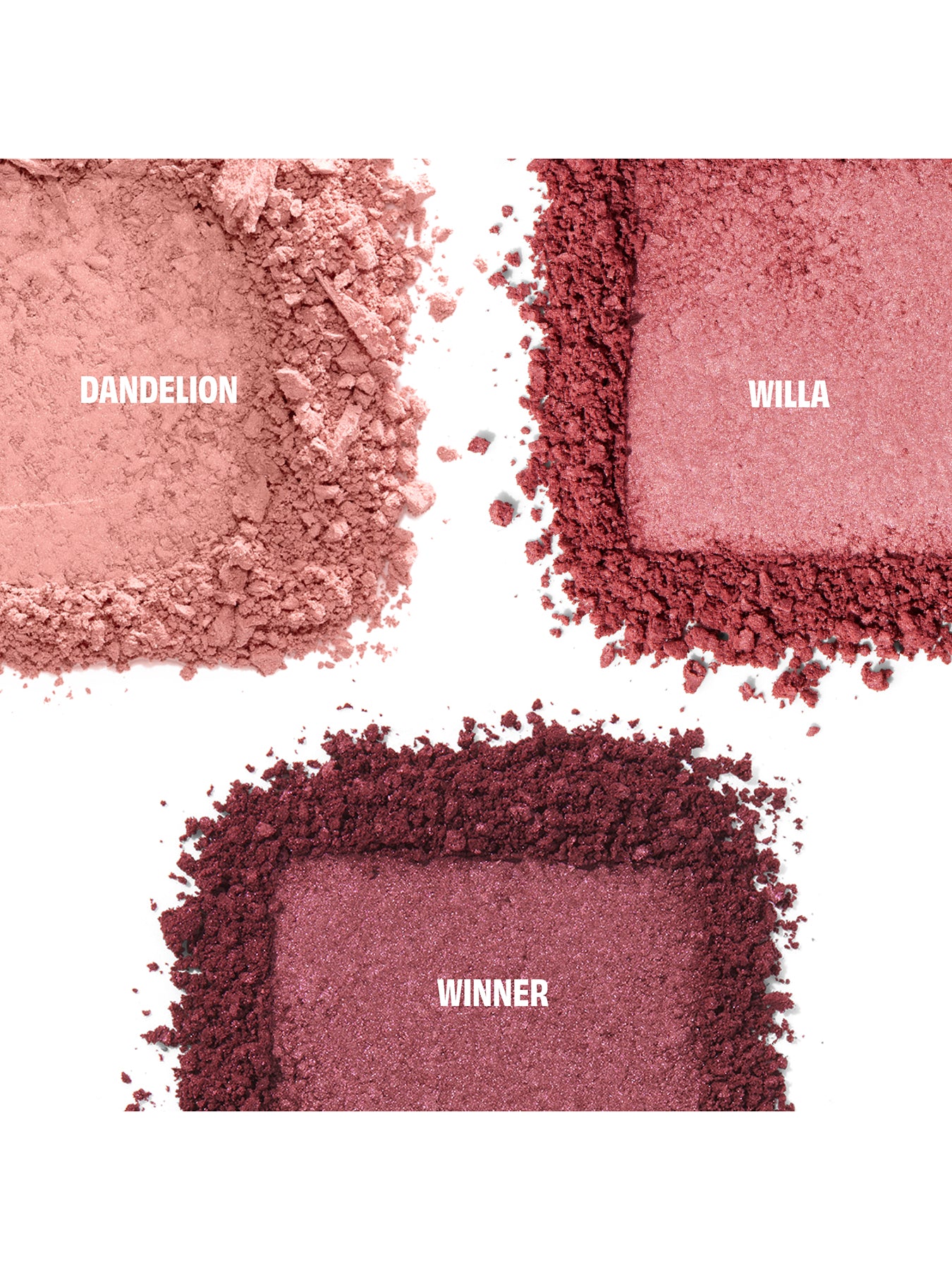 Cheek Score Blush Palette