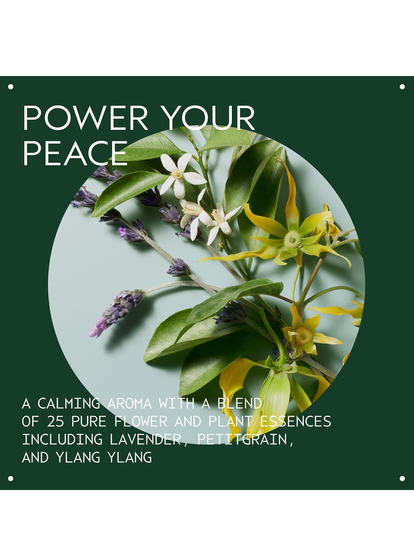 Serene Spirit Shampure Body Calming Essentials