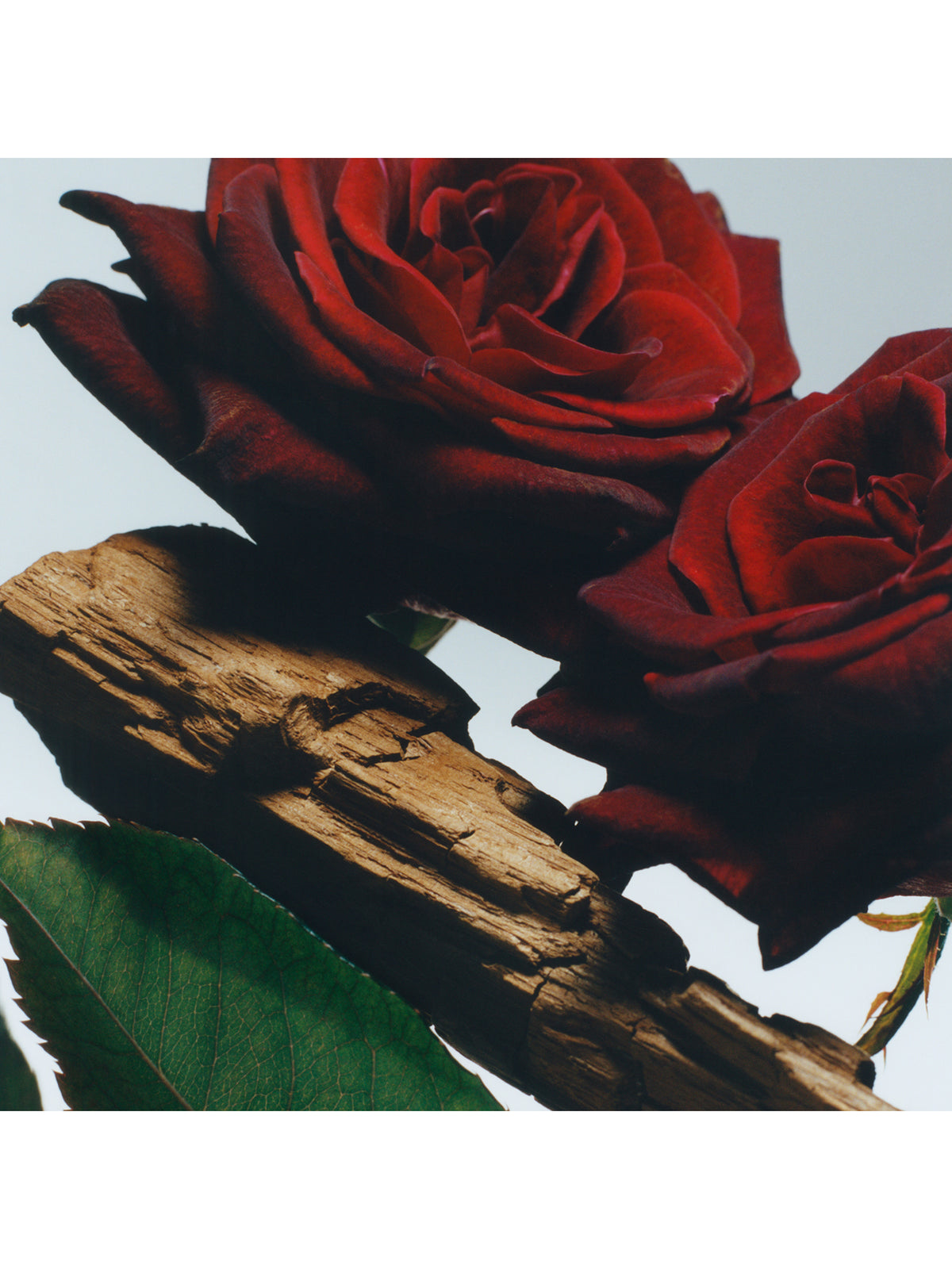 Velvet Rose & Oud All Over Body Spray