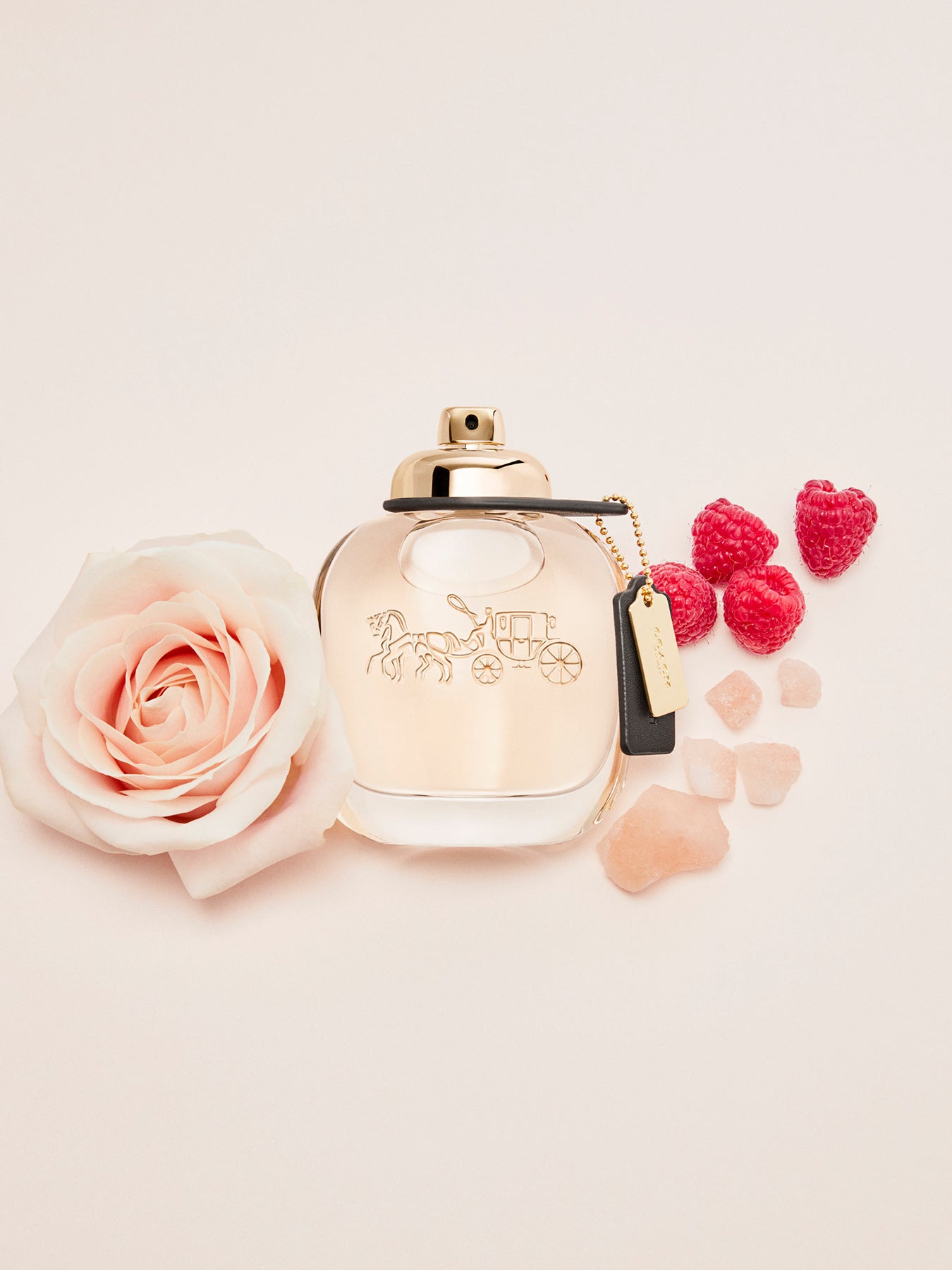 Coach Eau de Parfum 90ml Set