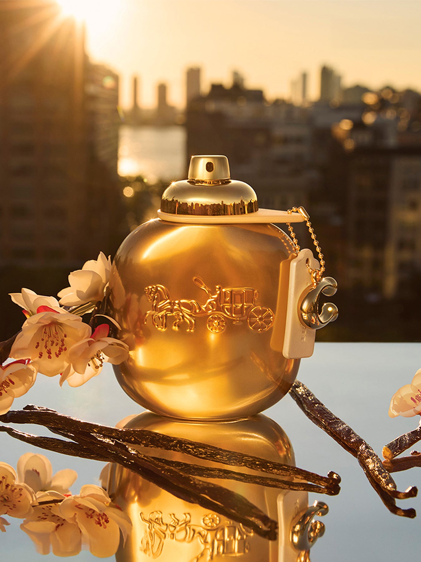 Coach Gold Eau de Parfum 50ml Set