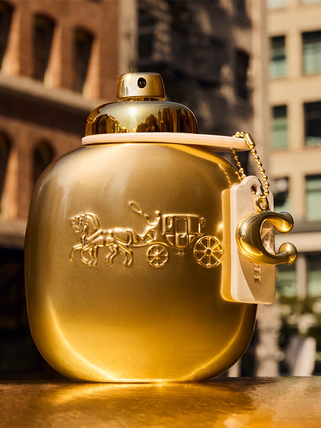 Coach Gold Eau de Parfum 50ml Set