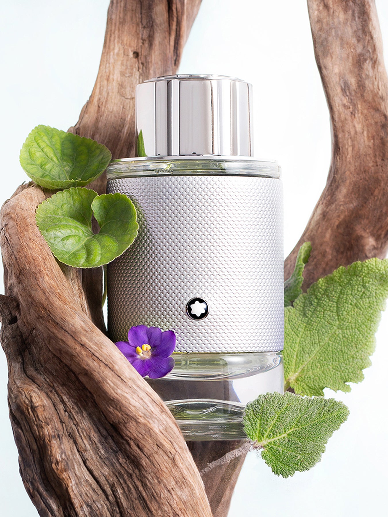 Explorer Platinum Eau de Parfum 60ml Set