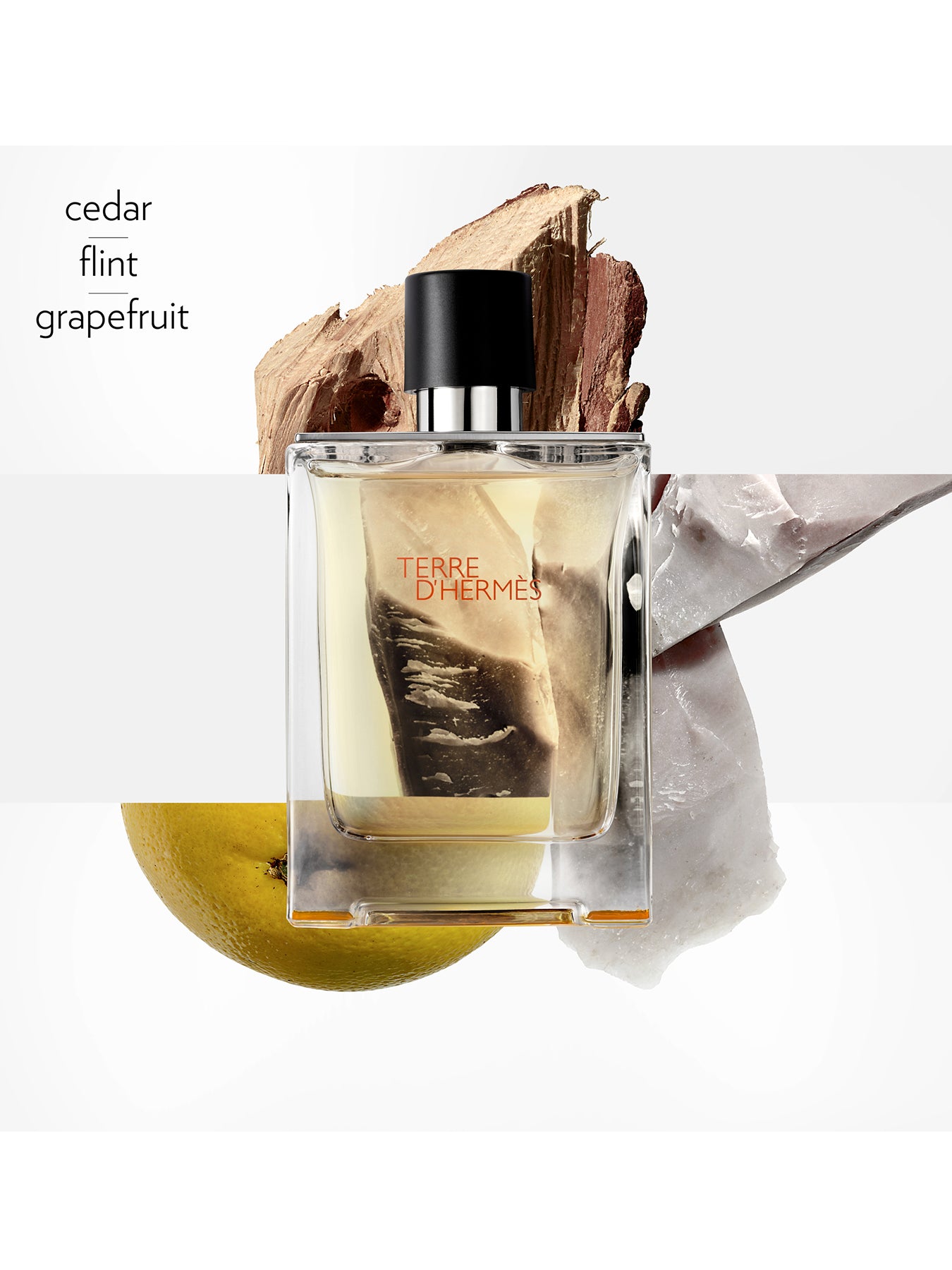 Terre d'Hermès Eau de Toilette 100ml Celebrating with Hermès Edition