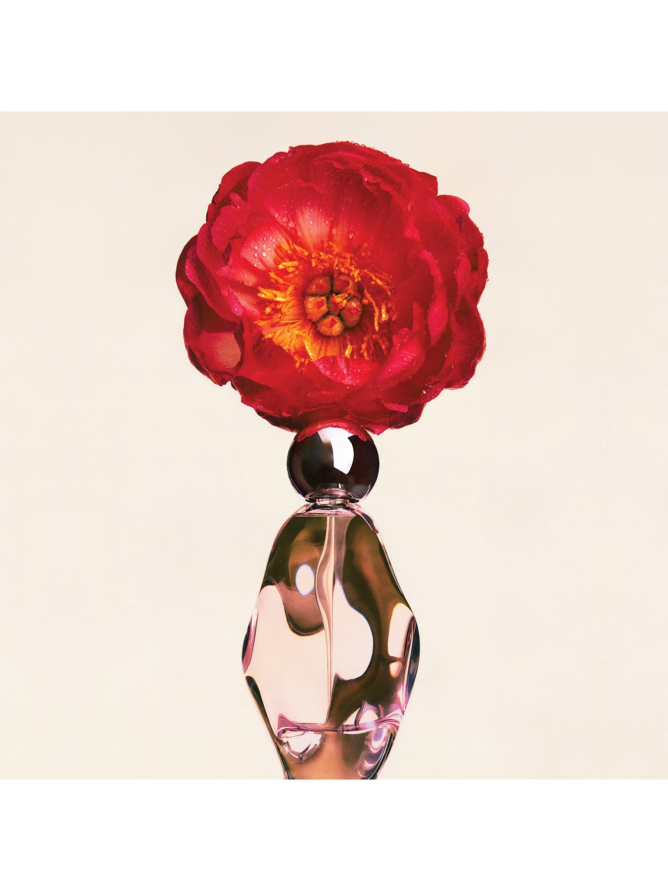 Cosmic Kylie Jenner Eau De Parfum 50ml