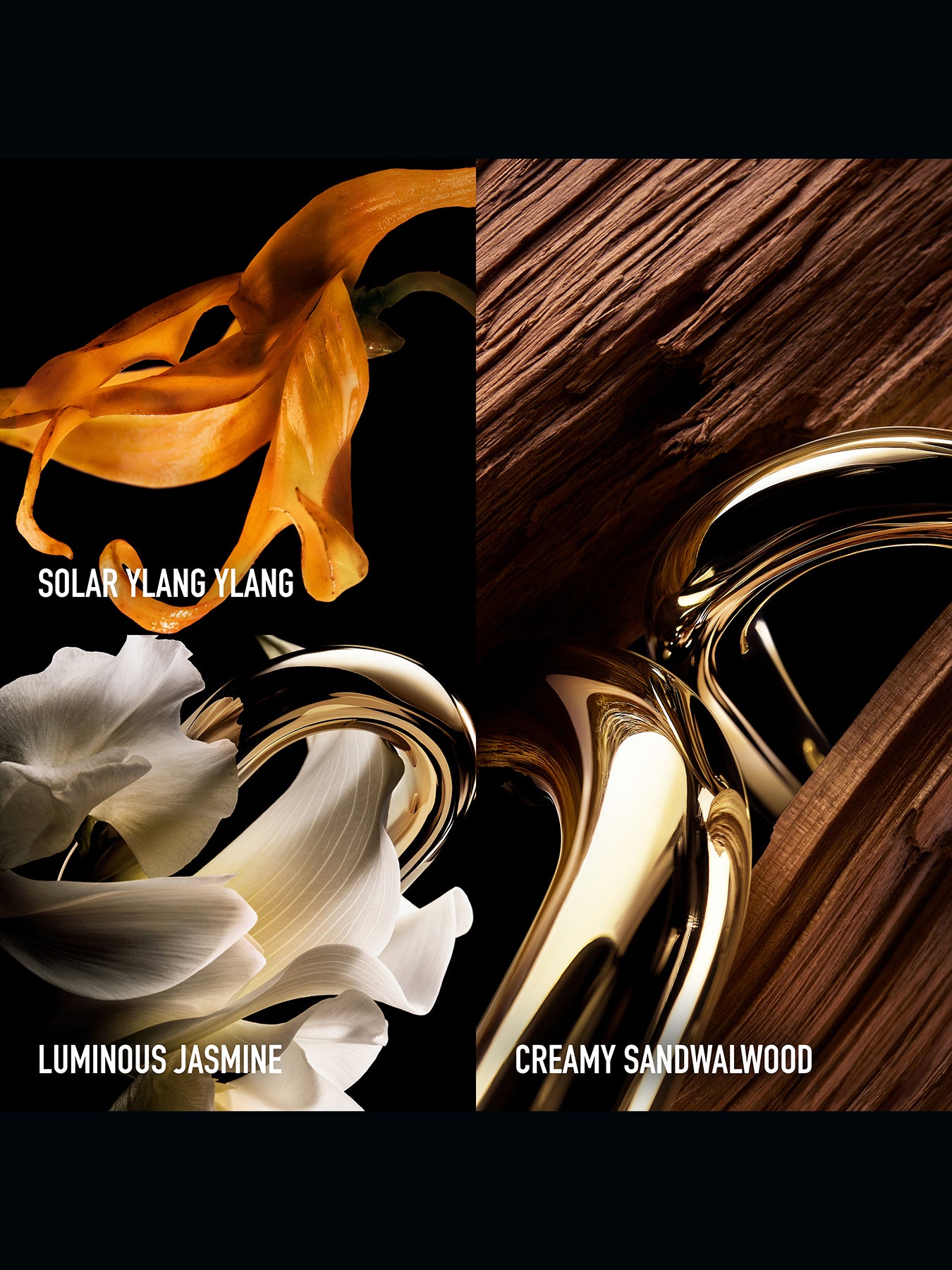 Million Gold For Her Parfum 30ml