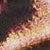 Animal Print Natural