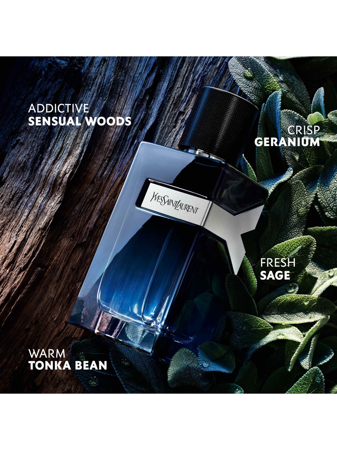 Y Eau de Parfum 100ml Set