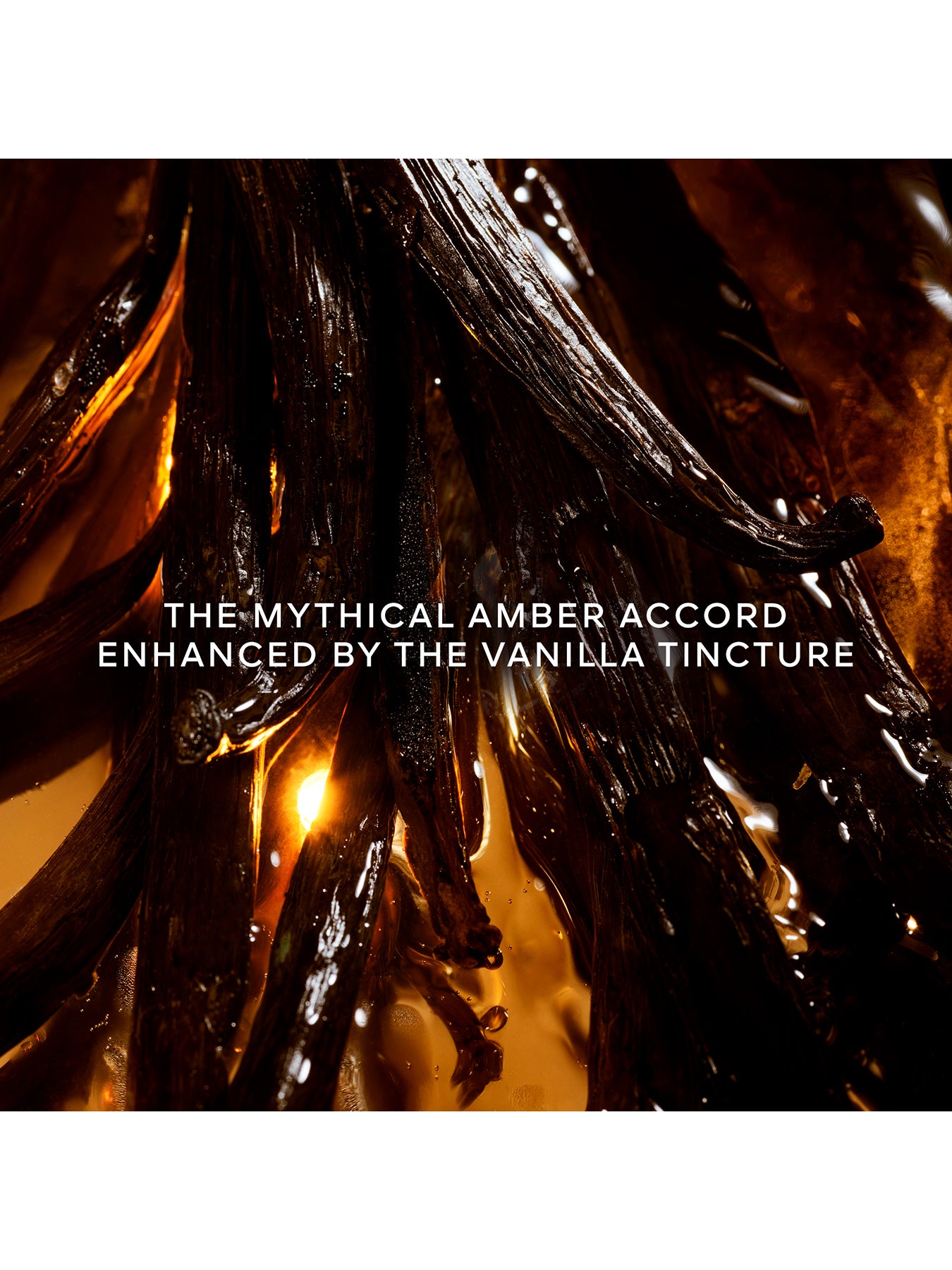 Shalimar Essence Eau de Parfum 50ml