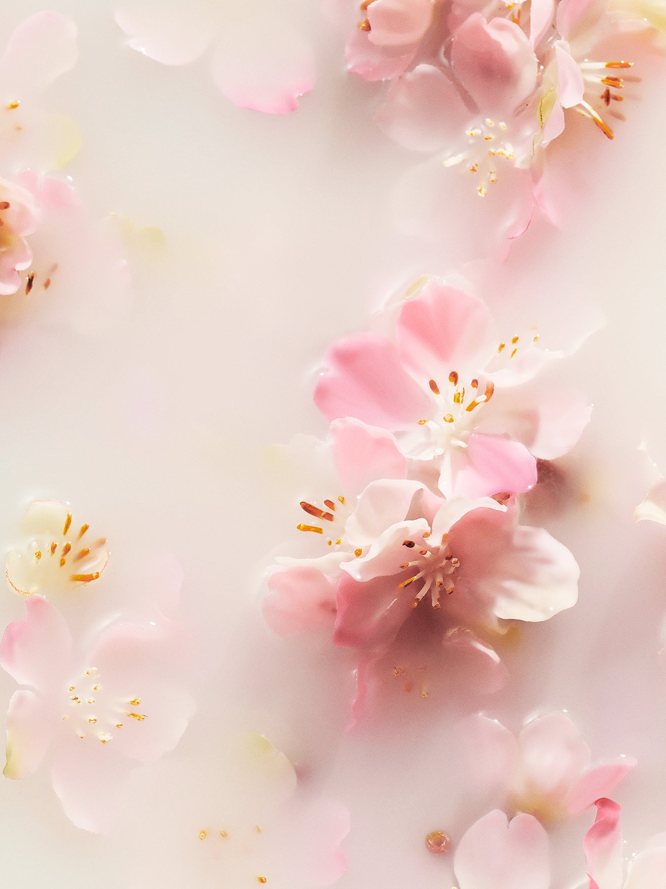 Ritual of Sakura Medium Gift Set
