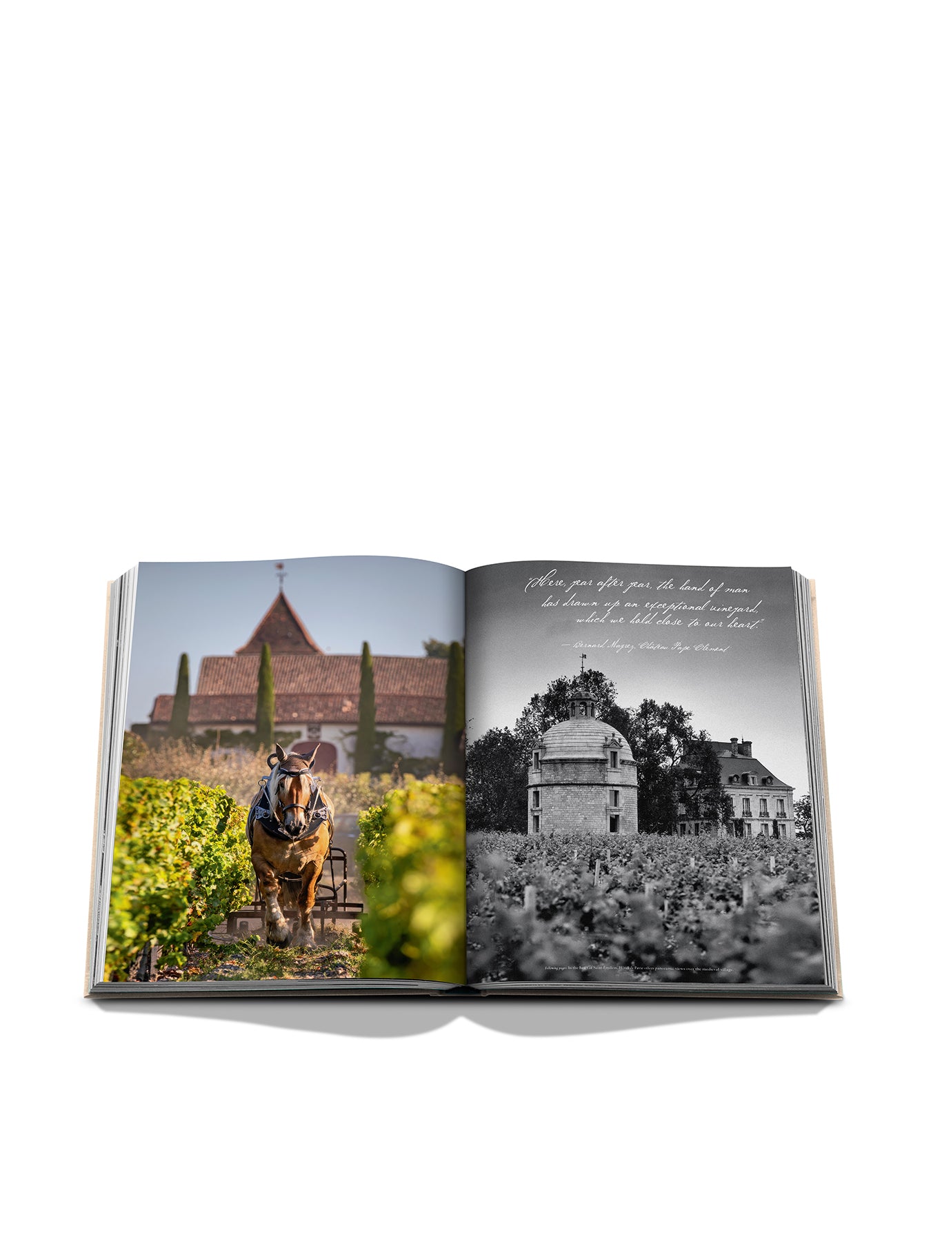 Wine & Travel France Book