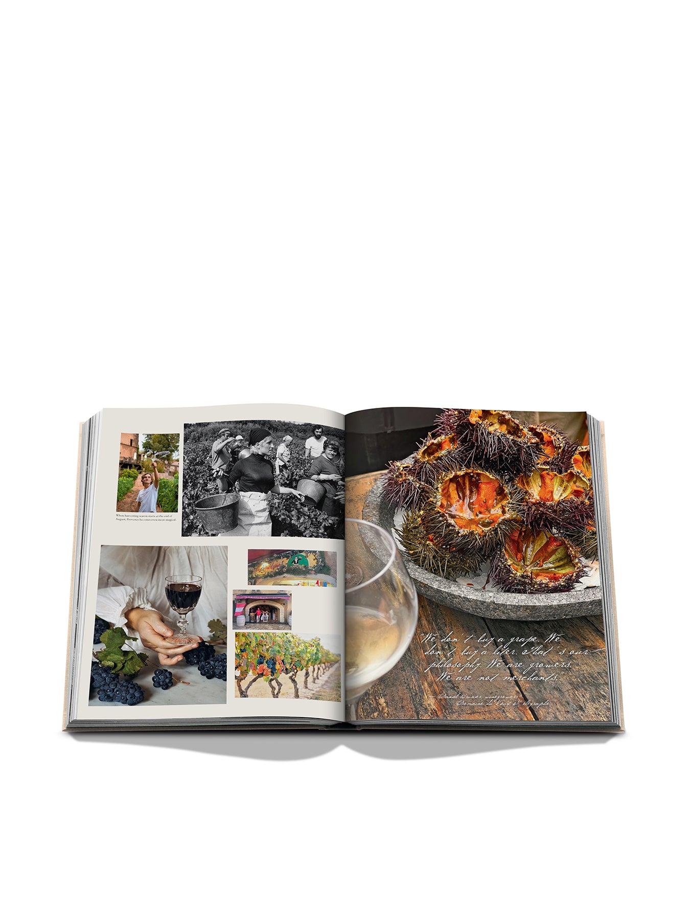 Wine & Travel France Book