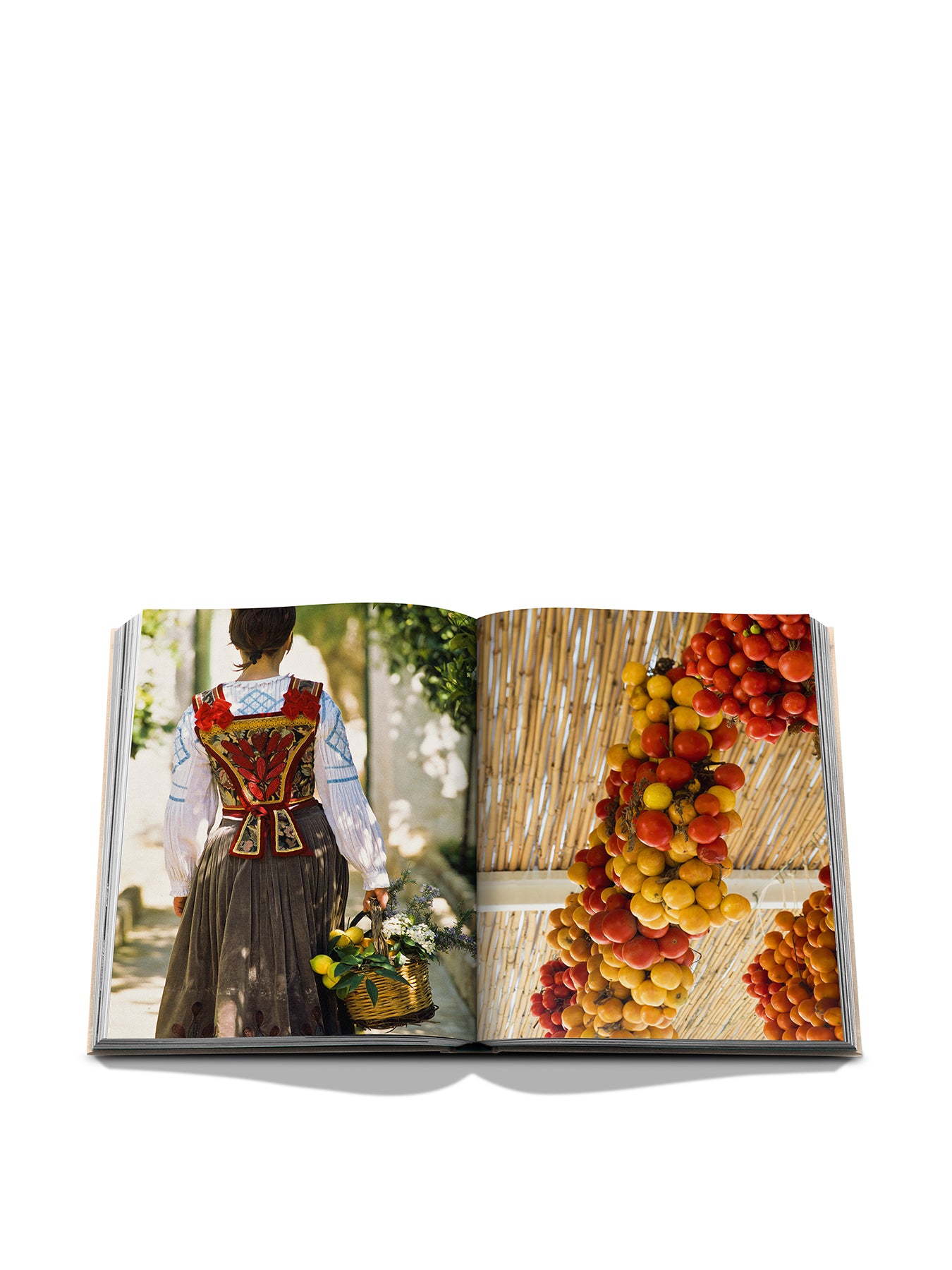 Wine & Travel Italy Book