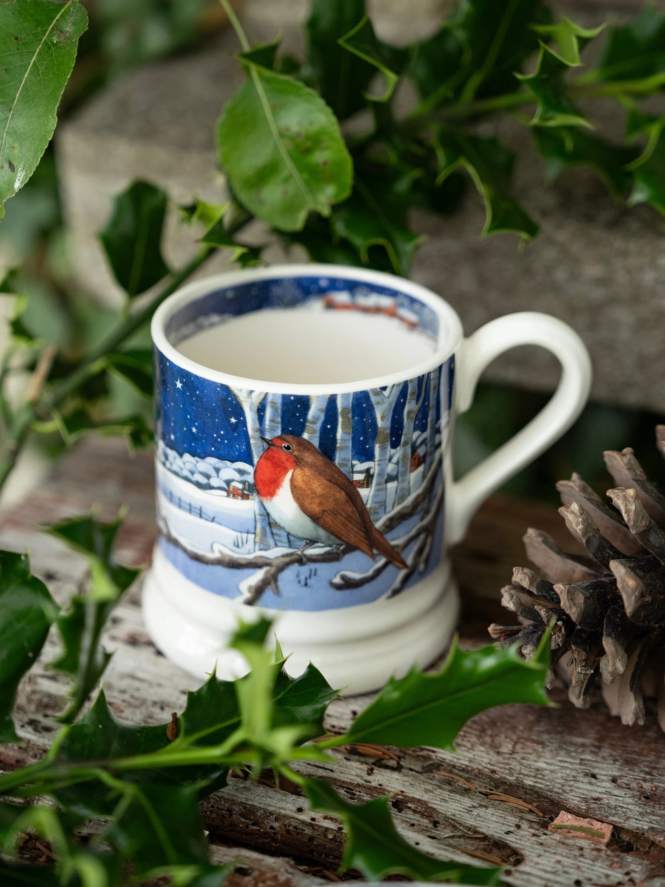 Midnight Robin Half Pint Mug Multi