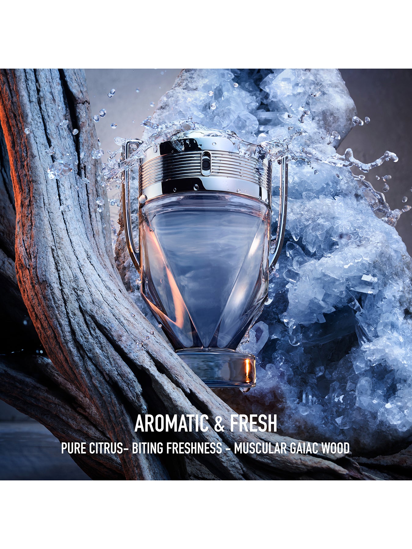 The Invictus Eau de Toilette 100ml Gift Set