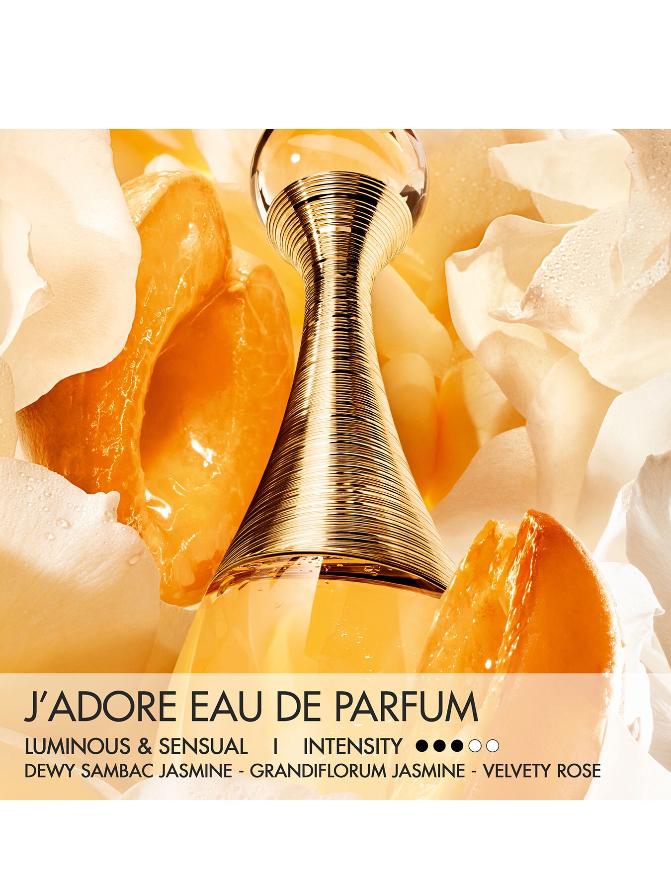 J’adore Eau de Parfum 100ml Limited Edition Case