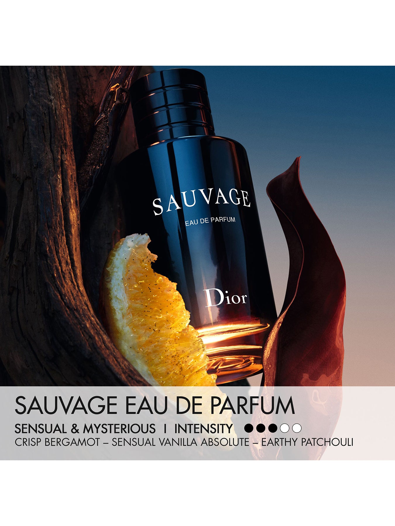 Sauvage Eau de Parfum 100ml Limited Edition Case