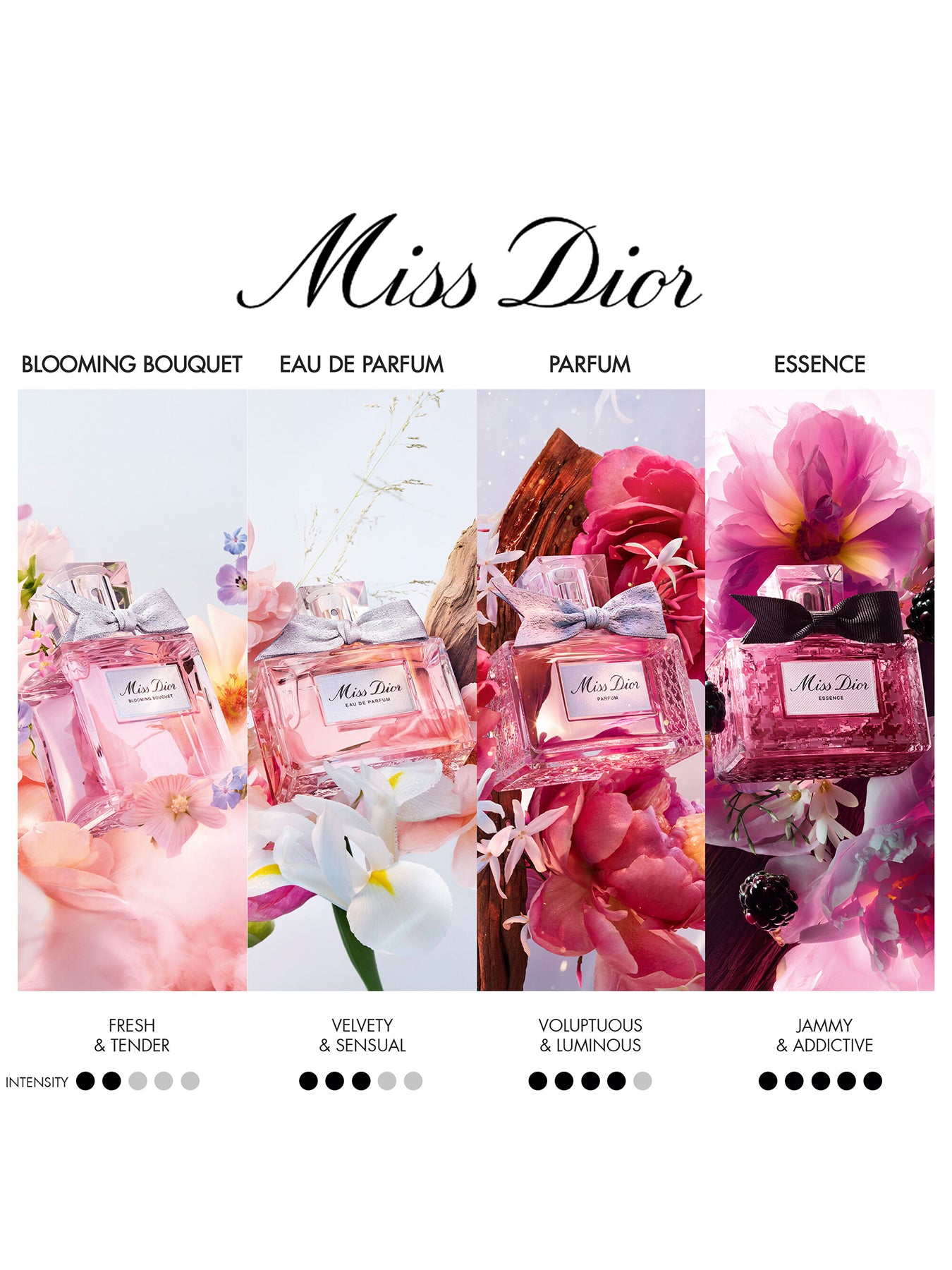 Miss Dior Eau de Parfum 100ml Limited Edition Case