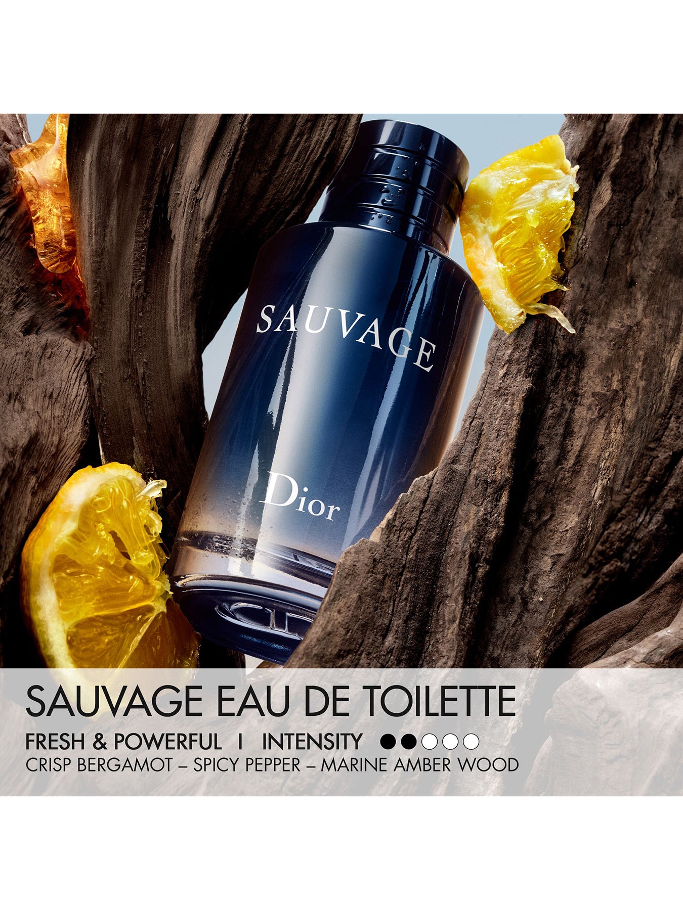 Sauvage Eau de Toilette 100ml Limited Edition Case