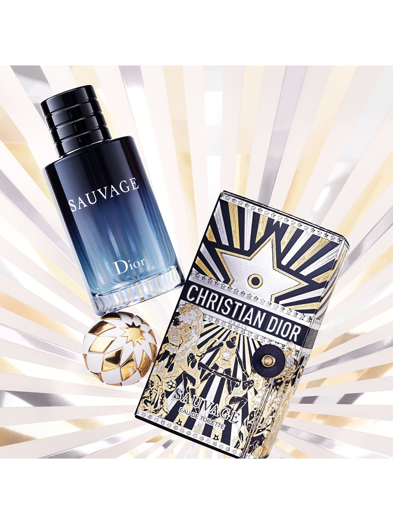 Sauvage Eau de Toilette 100ml Limited Edition Case