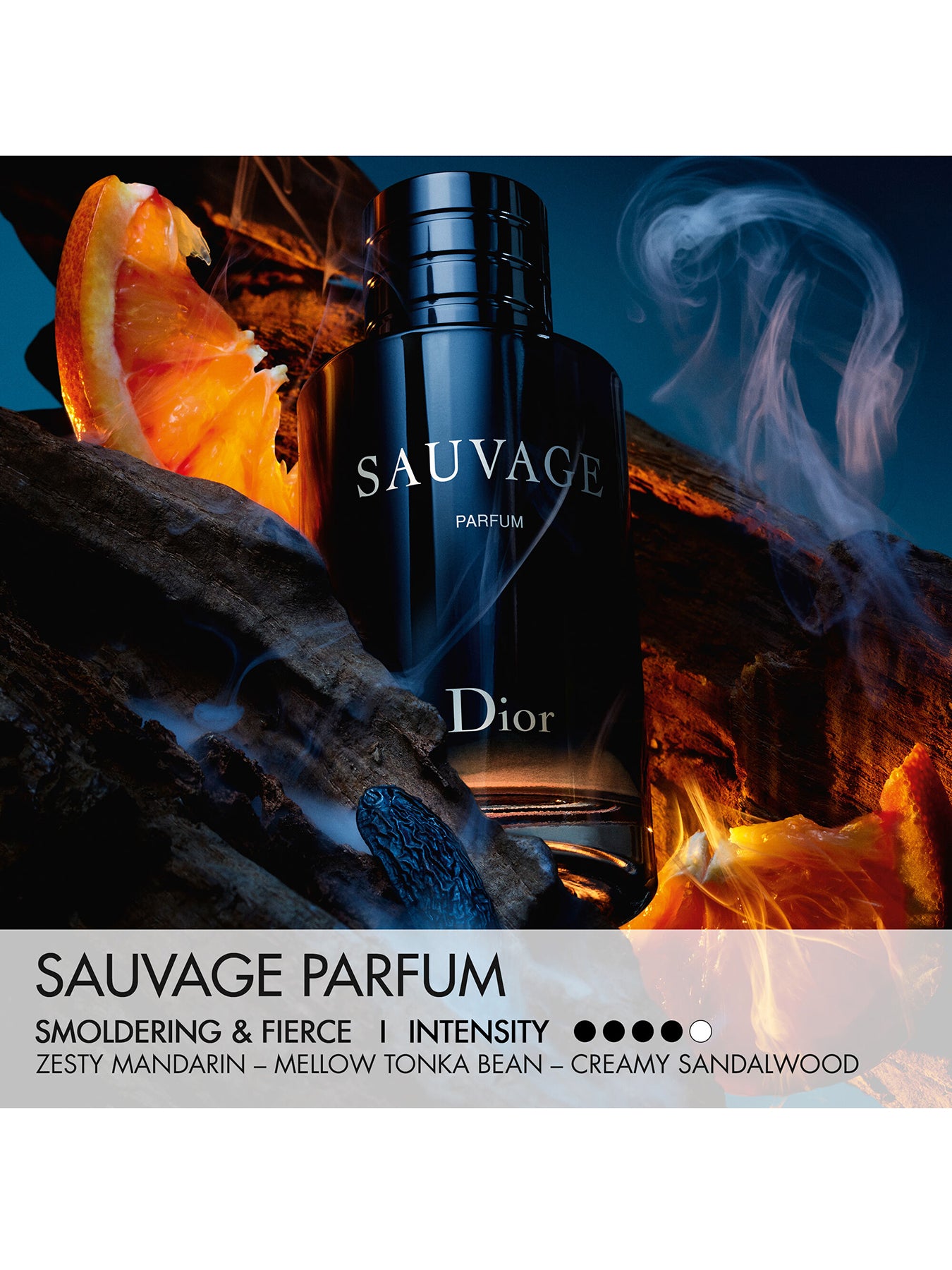 Sauvage Parfum 100ml Limited Edition Case